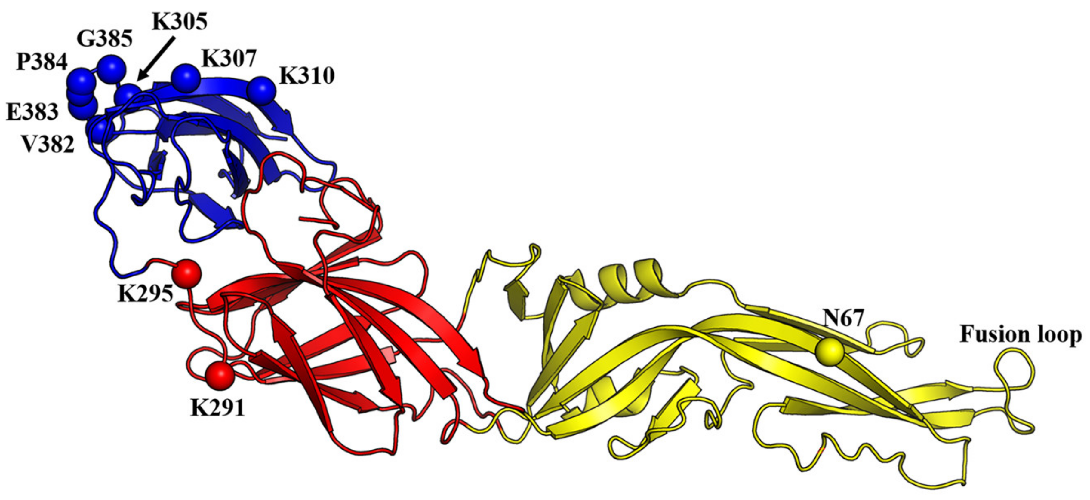 Viruses 12 00367 g004