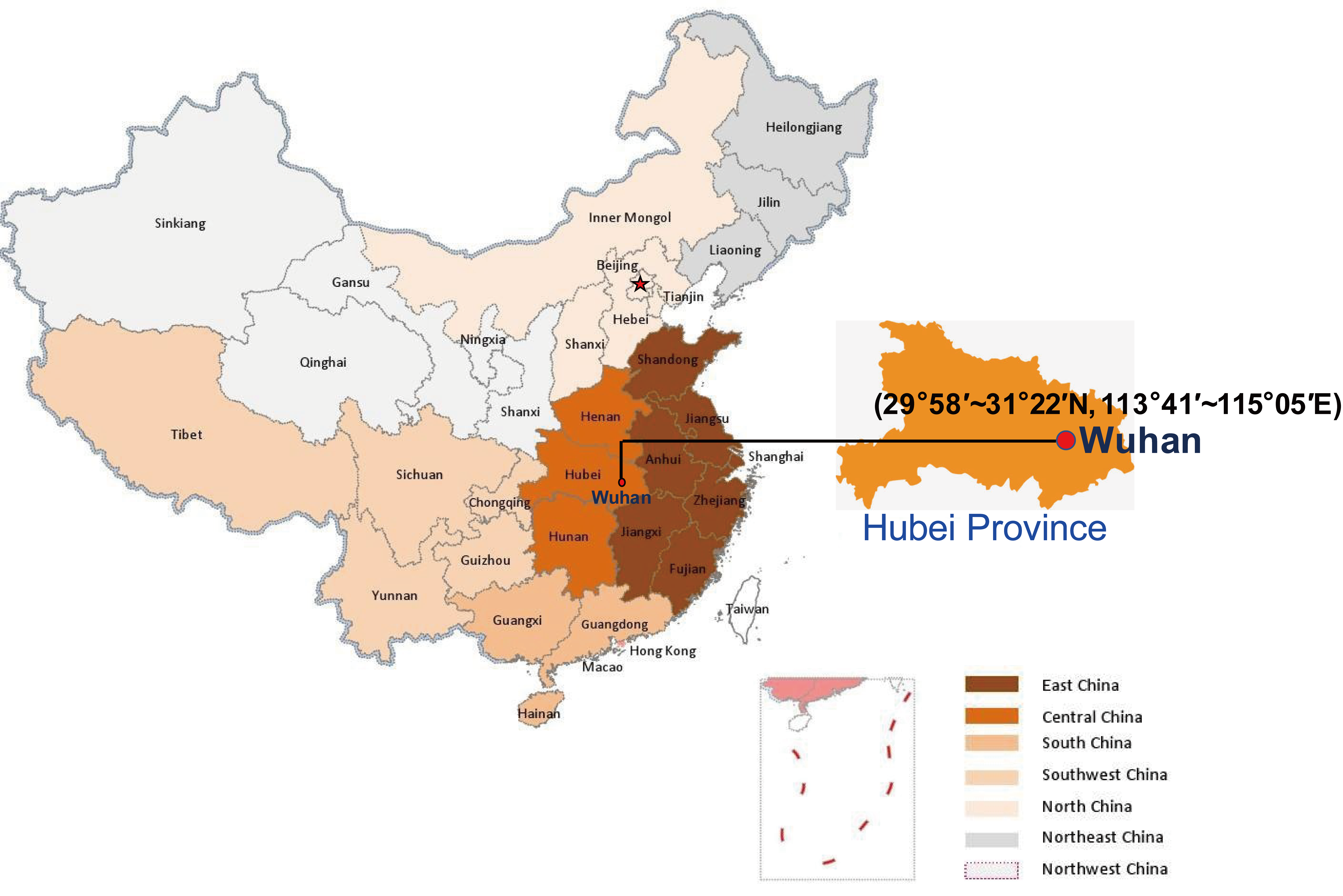 Viruses 12 00372 g001