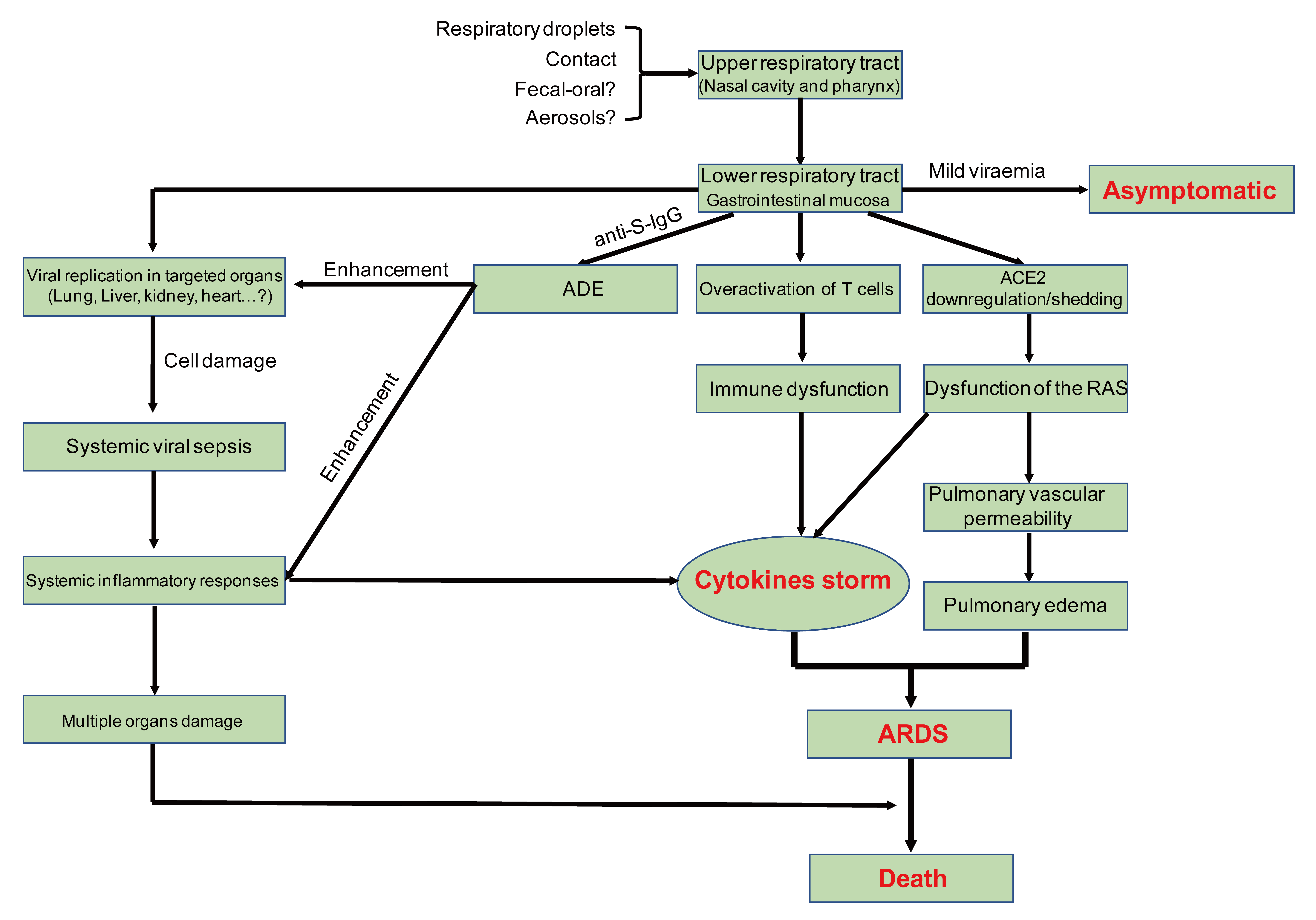 Viruses 12 00372 g005