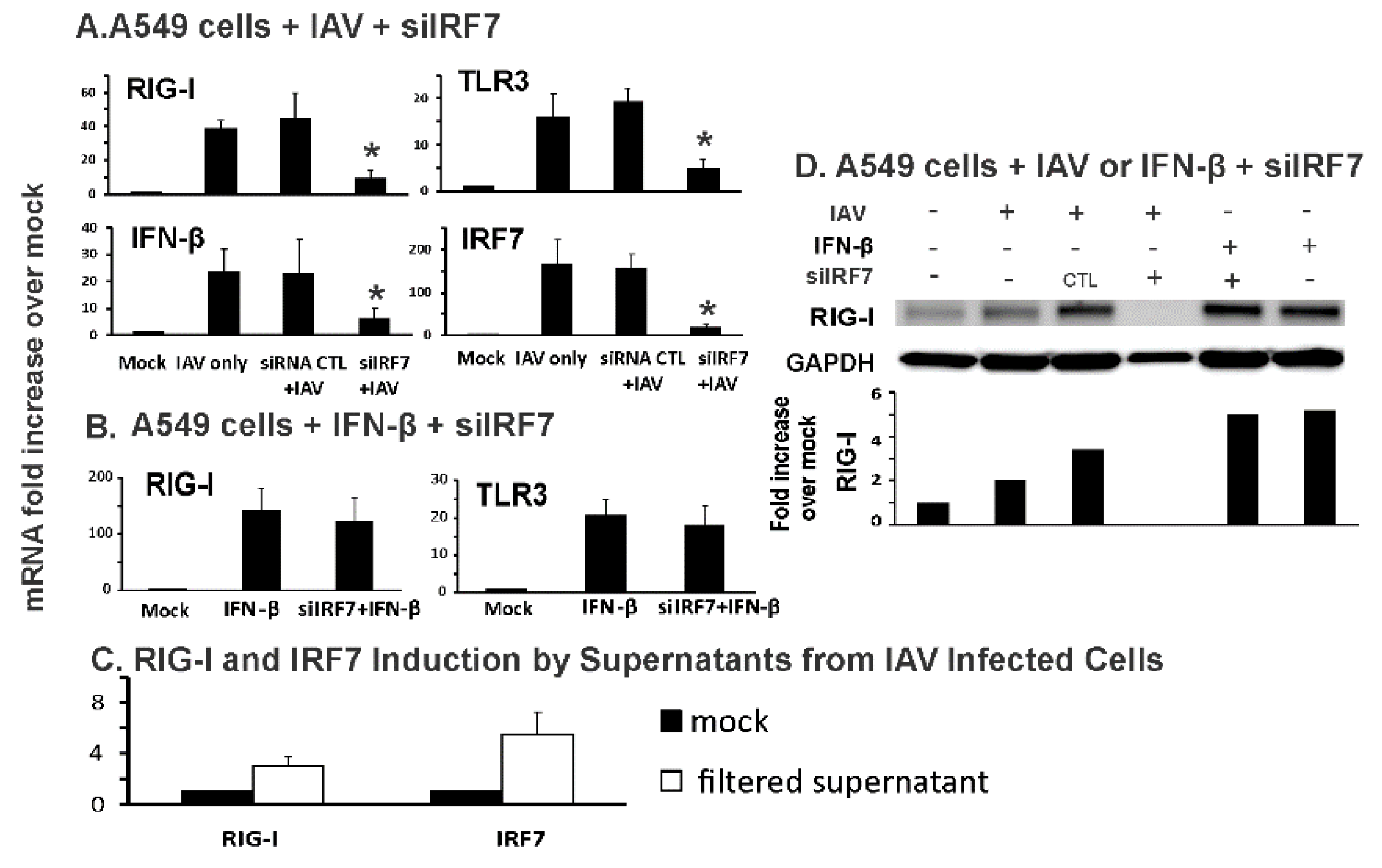 Viruses 12 00377 g005