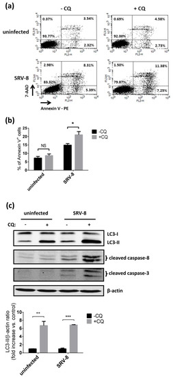 Viruses 12 00381 g006a Viruses 12 00381 g006a