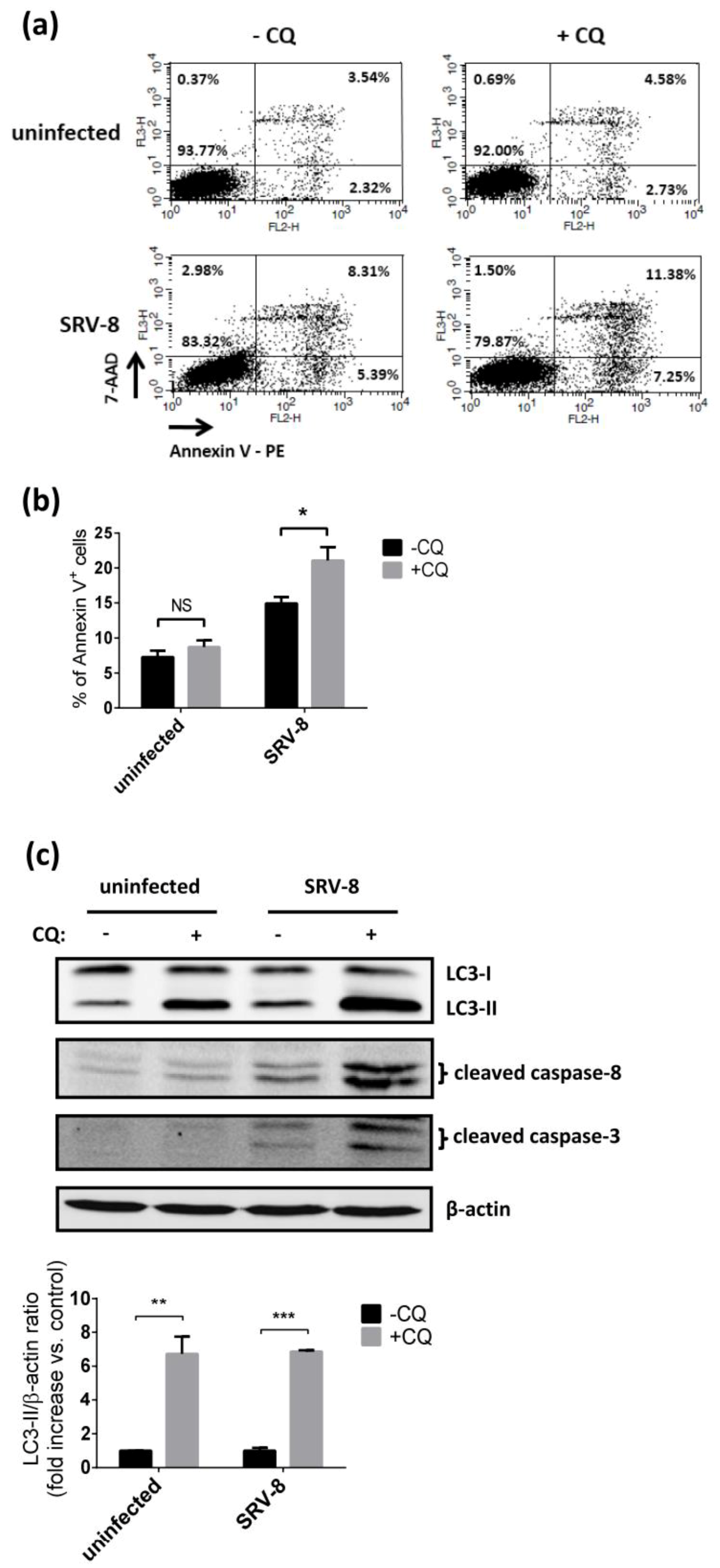 Viruses 12 00381 g006a Viruses 12 00381 g006a