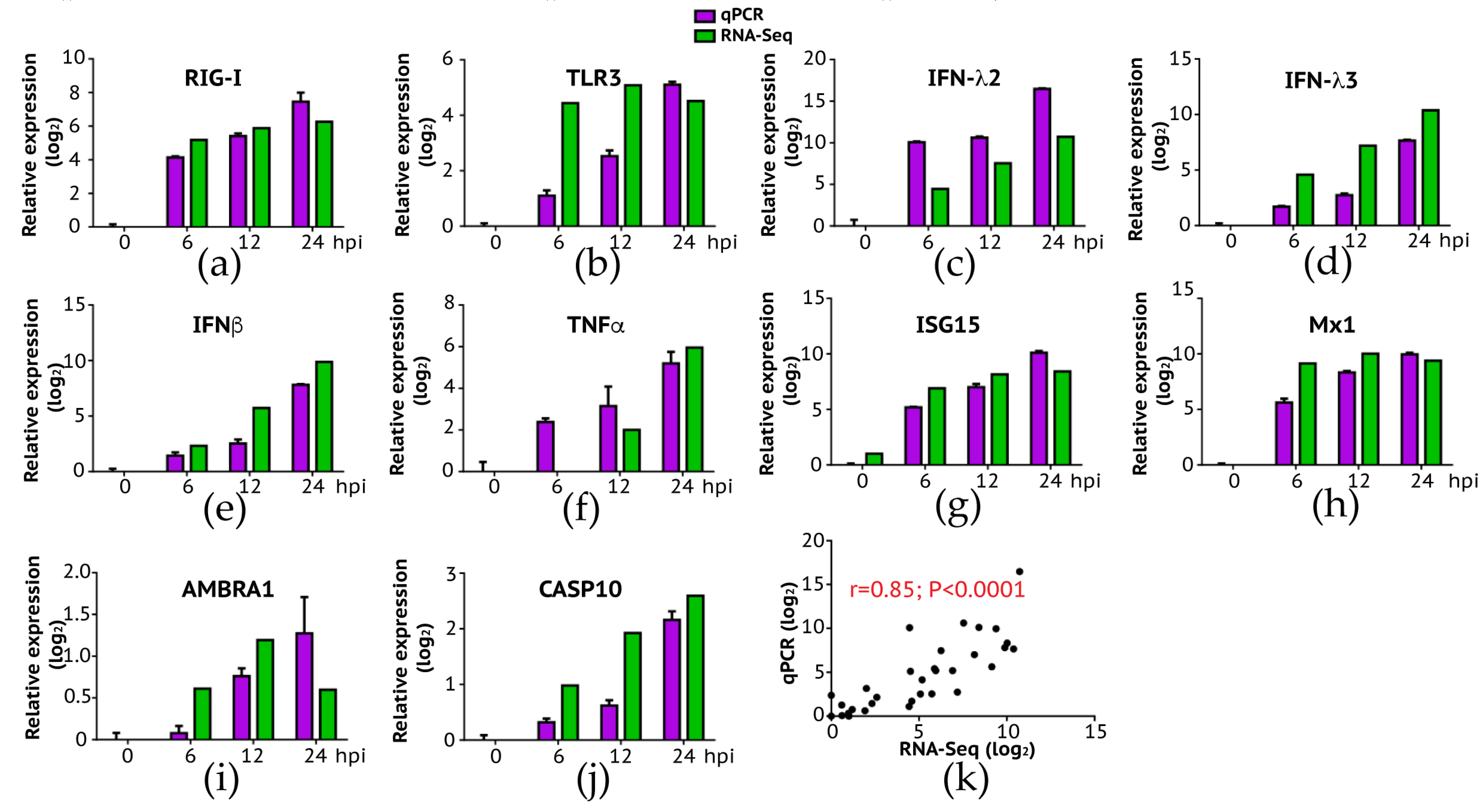 Viruses 12 00383 g004