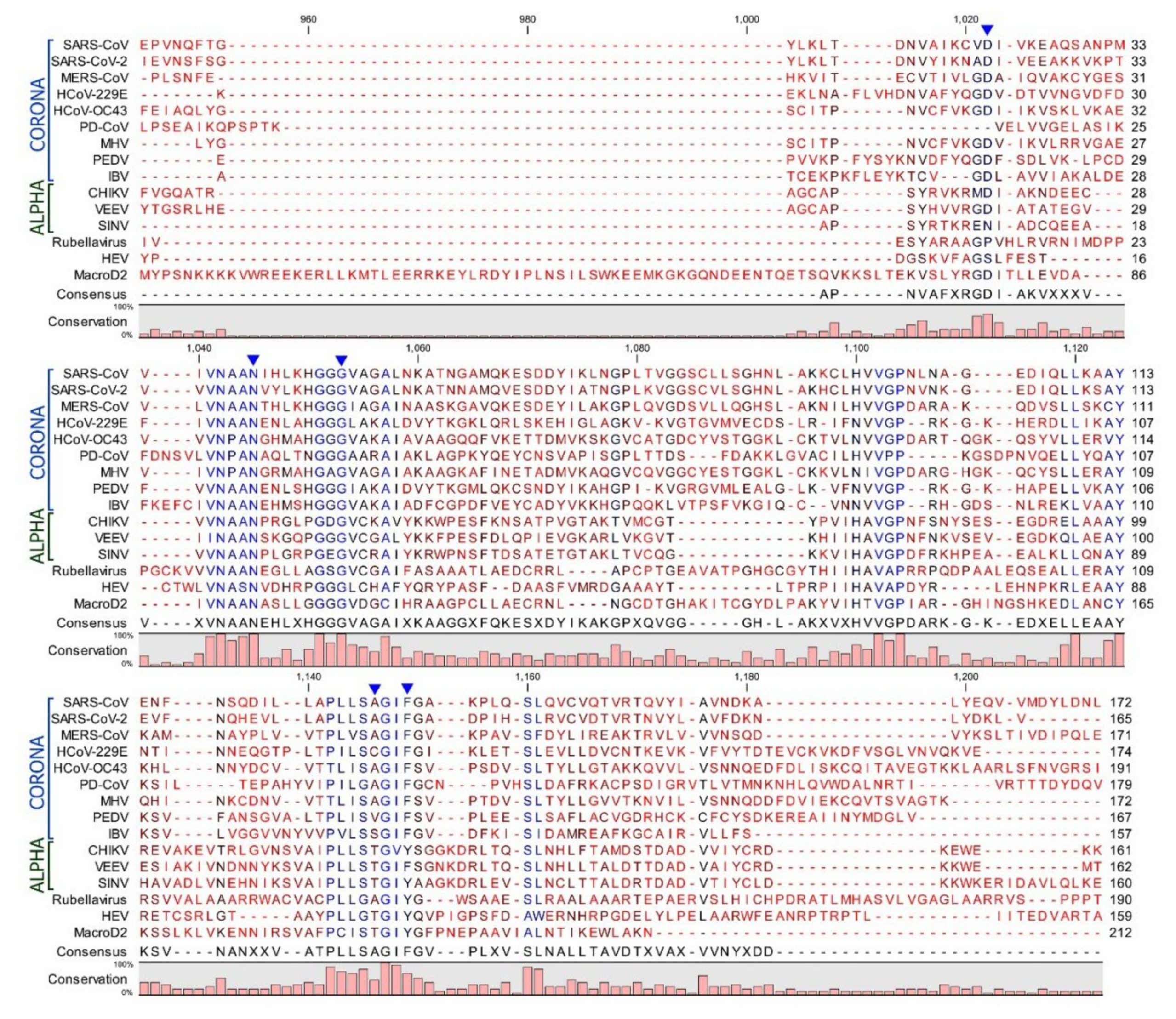 Viruses 12 00384 g002