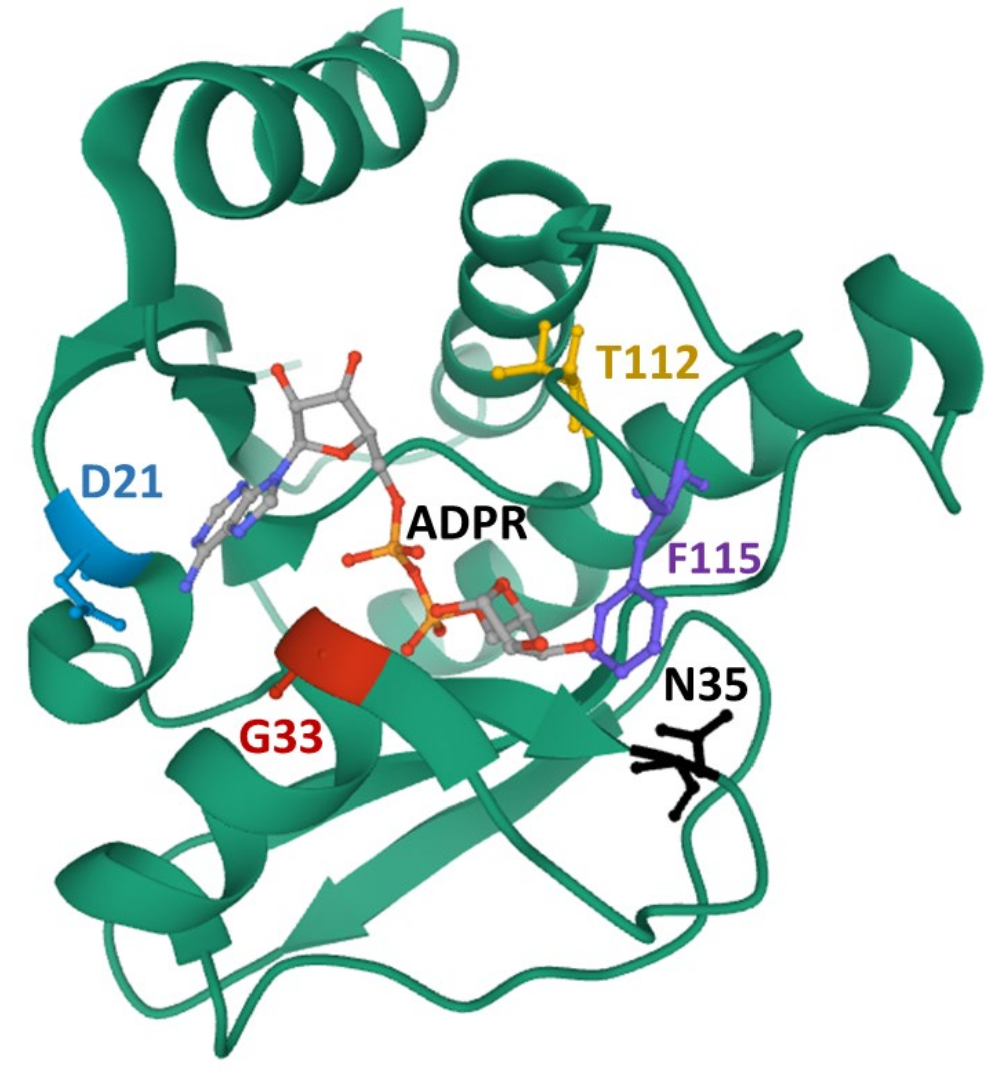 Viruses 12 00384 g004