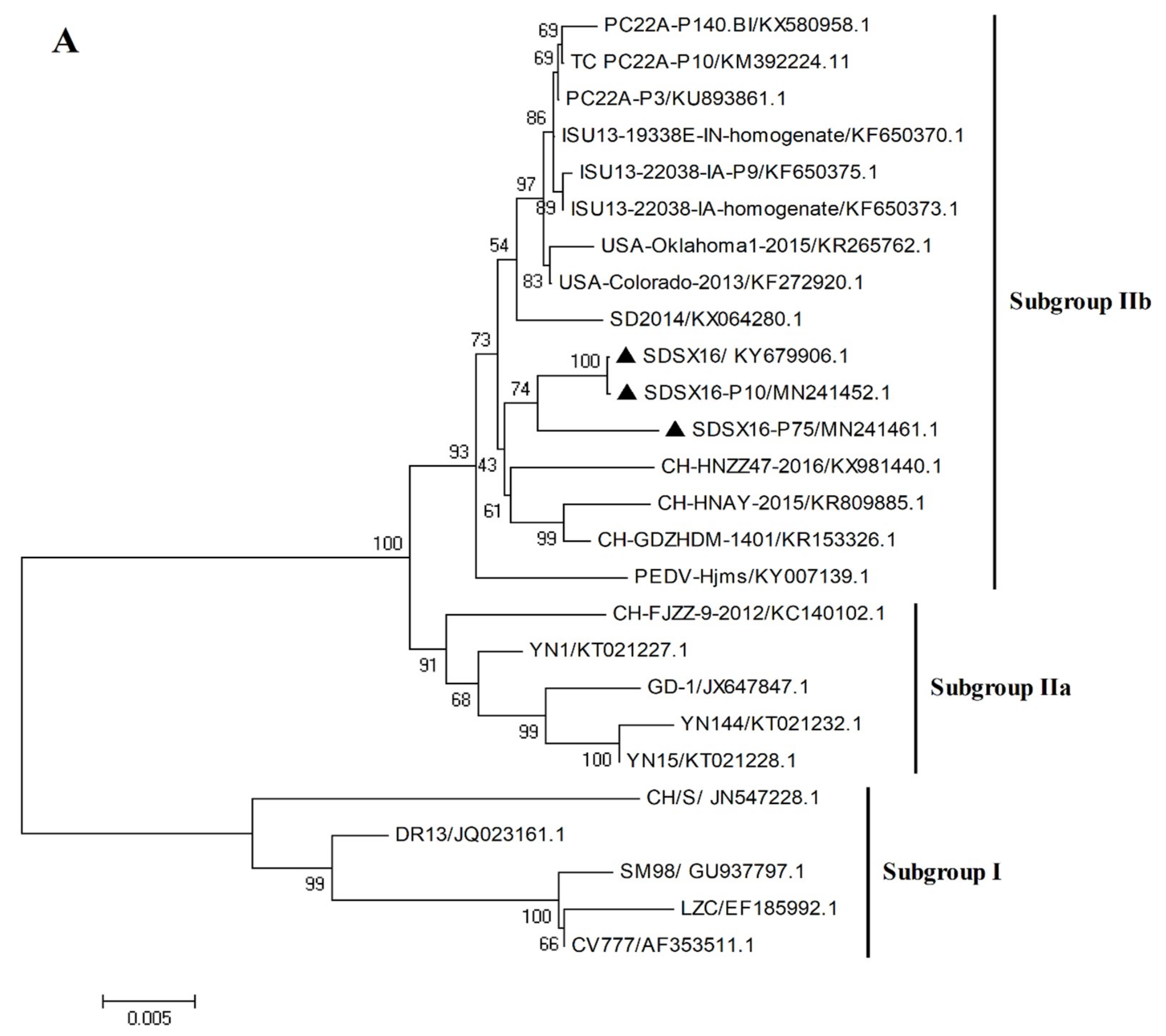 Viruses 12 00391 g004a Viruses 12 00391 g004a
