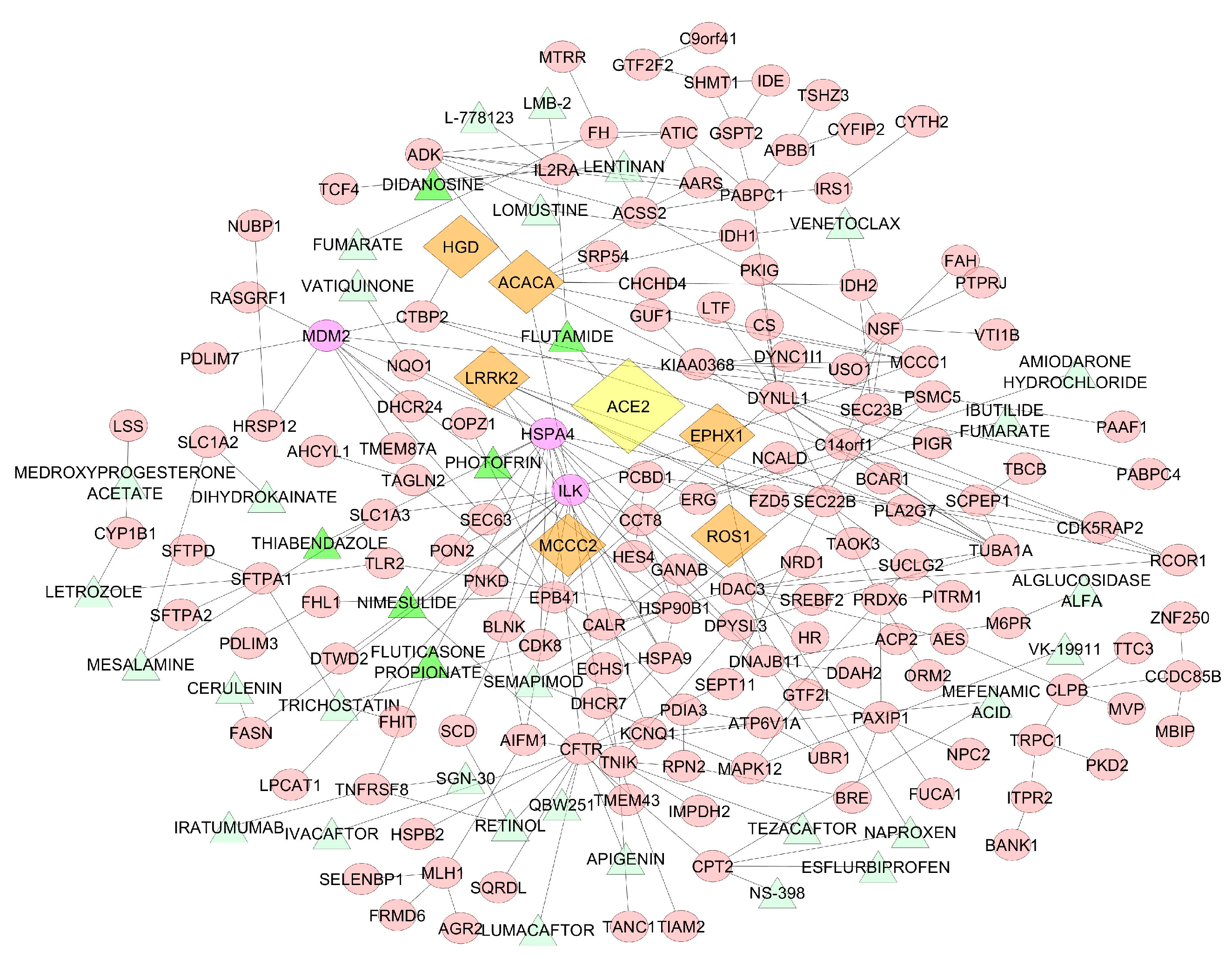 Viruses 12 00404 g004 Viruses 12 00404 g004