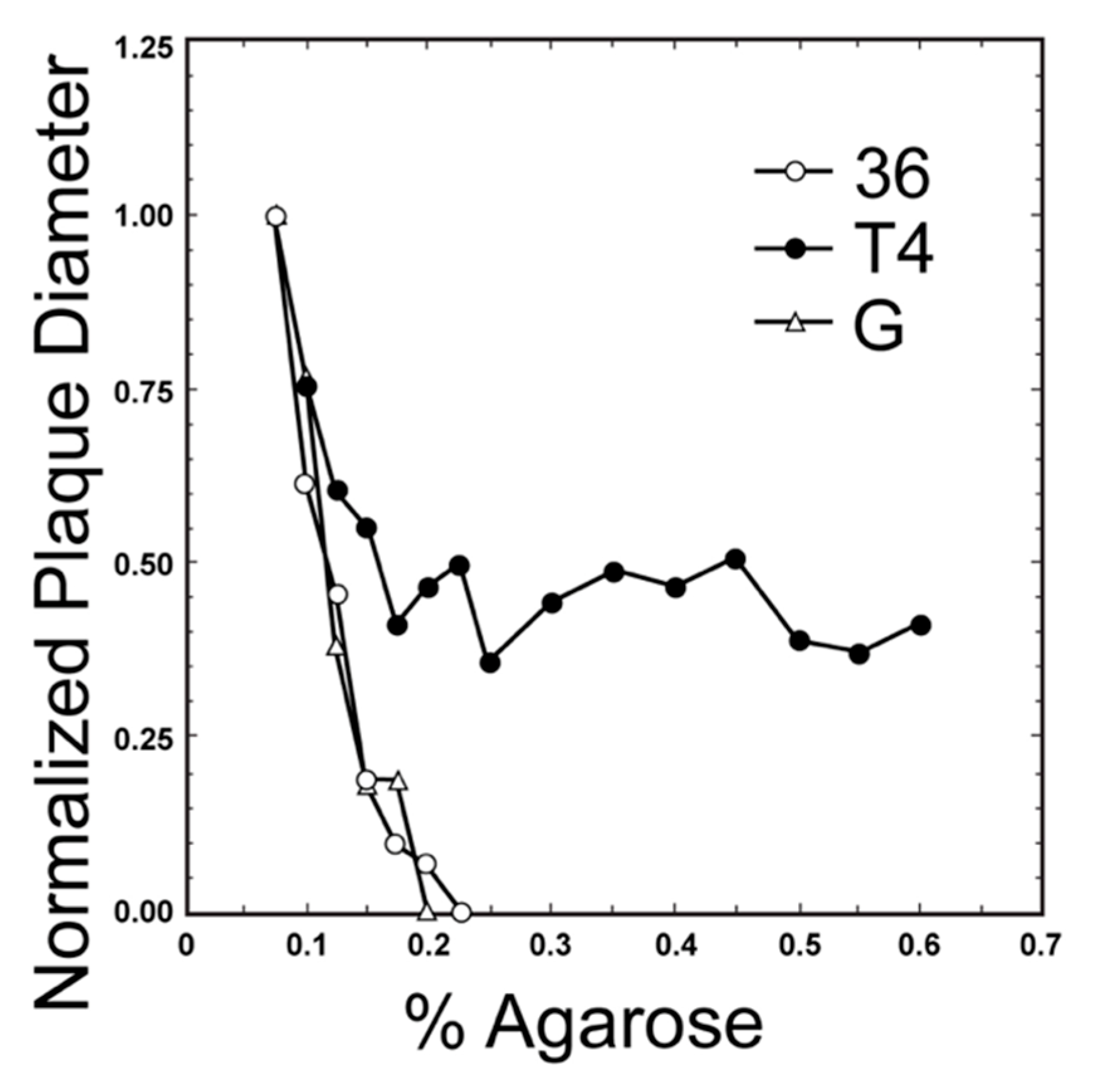 Viruses 12 00410 g001 Viruses 12 00410 g001