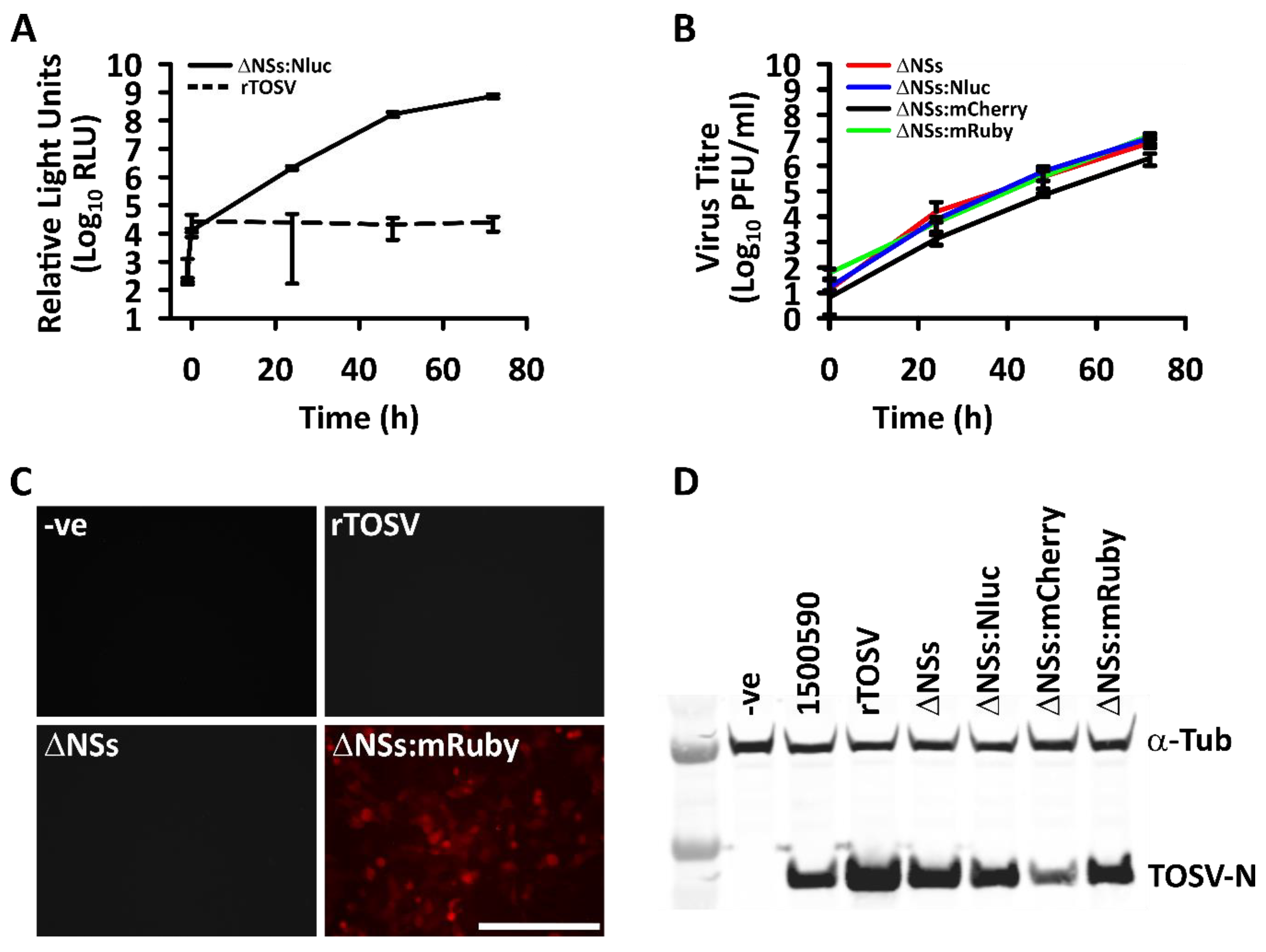 Viruses 12 00411 g005