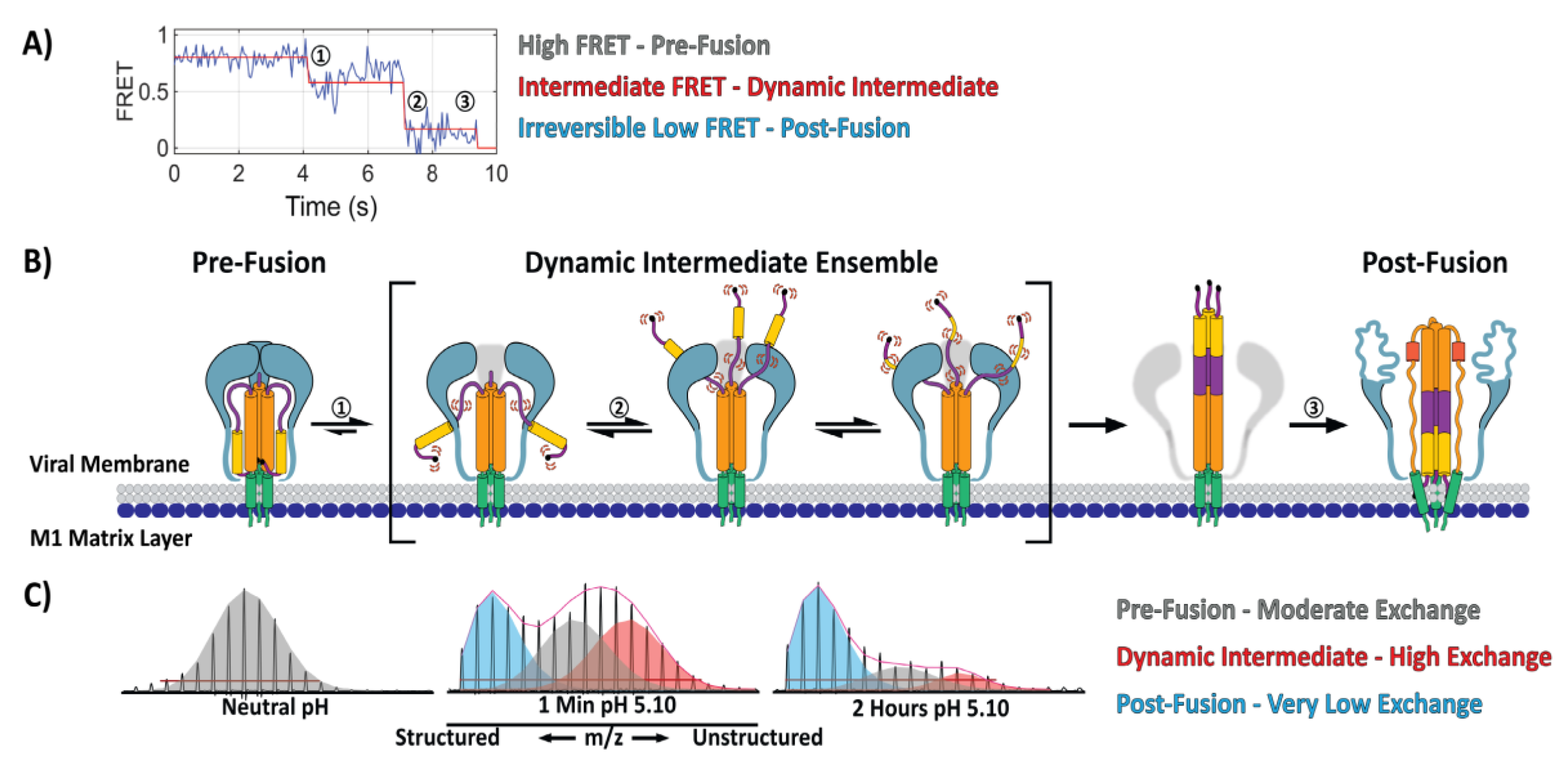 Viruses 12 00413 g002