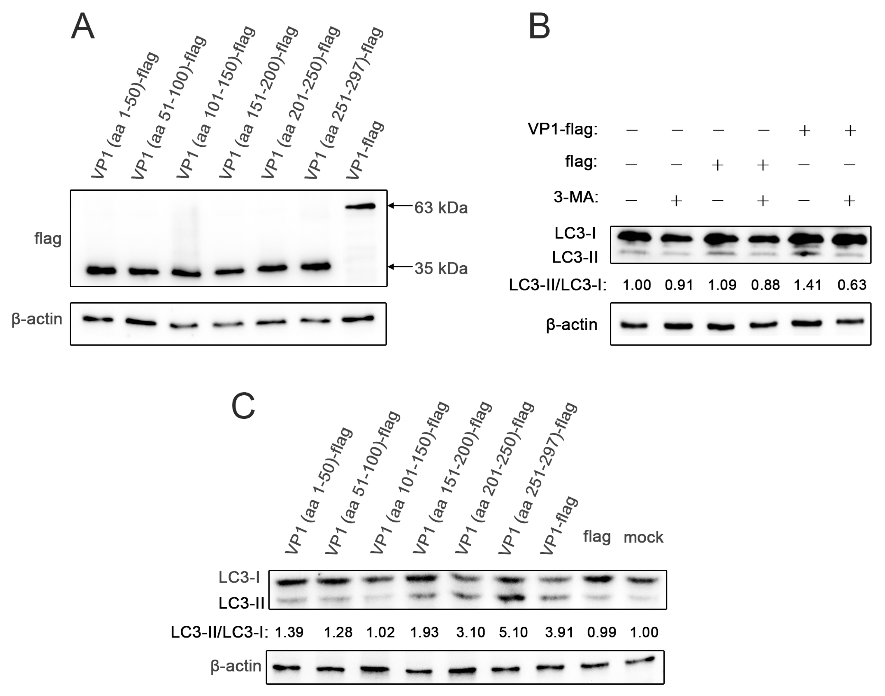 Viruses 12 00414 g001 Viruses 12 00414 g001