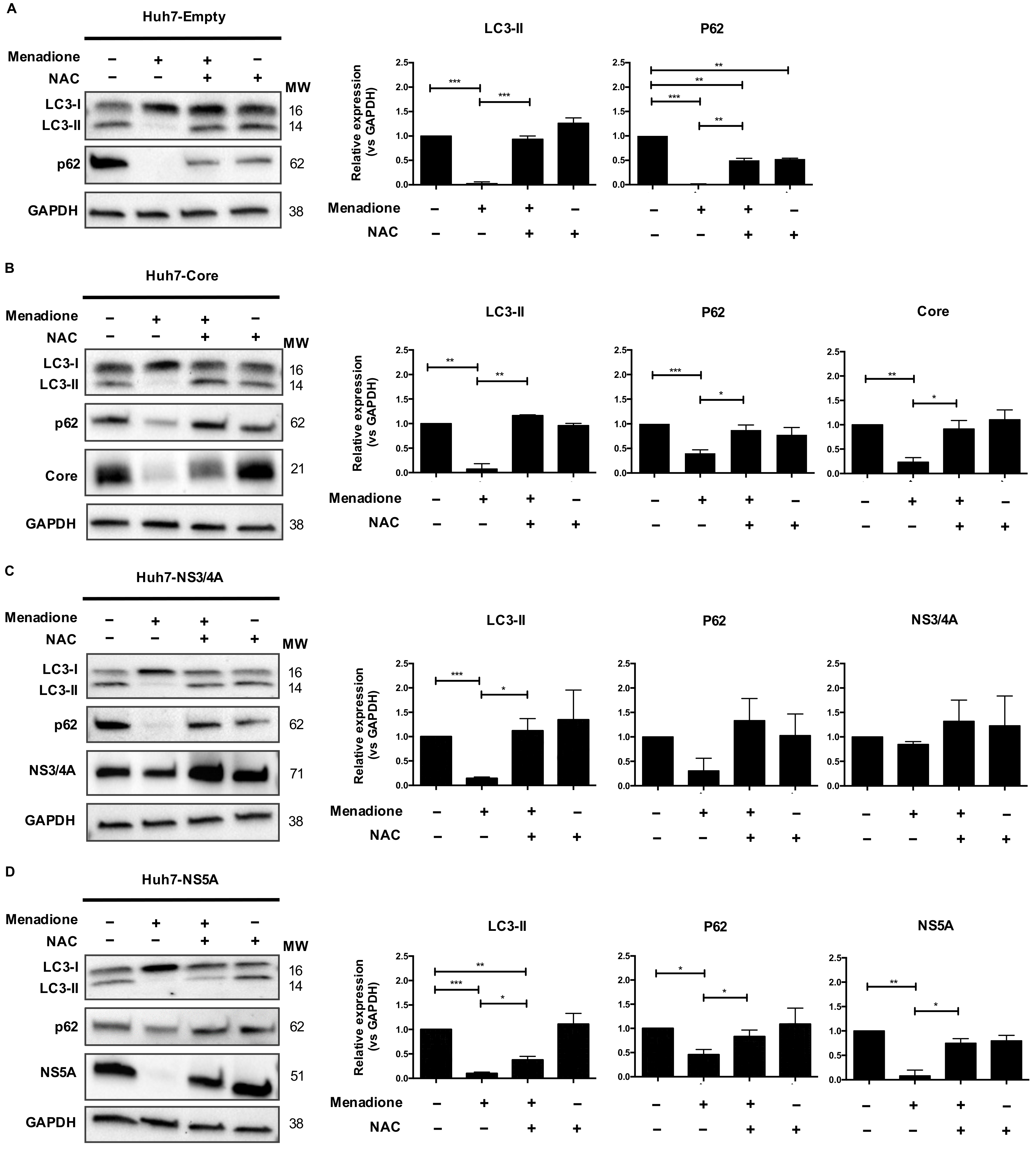 Viruses 12 00425 g005