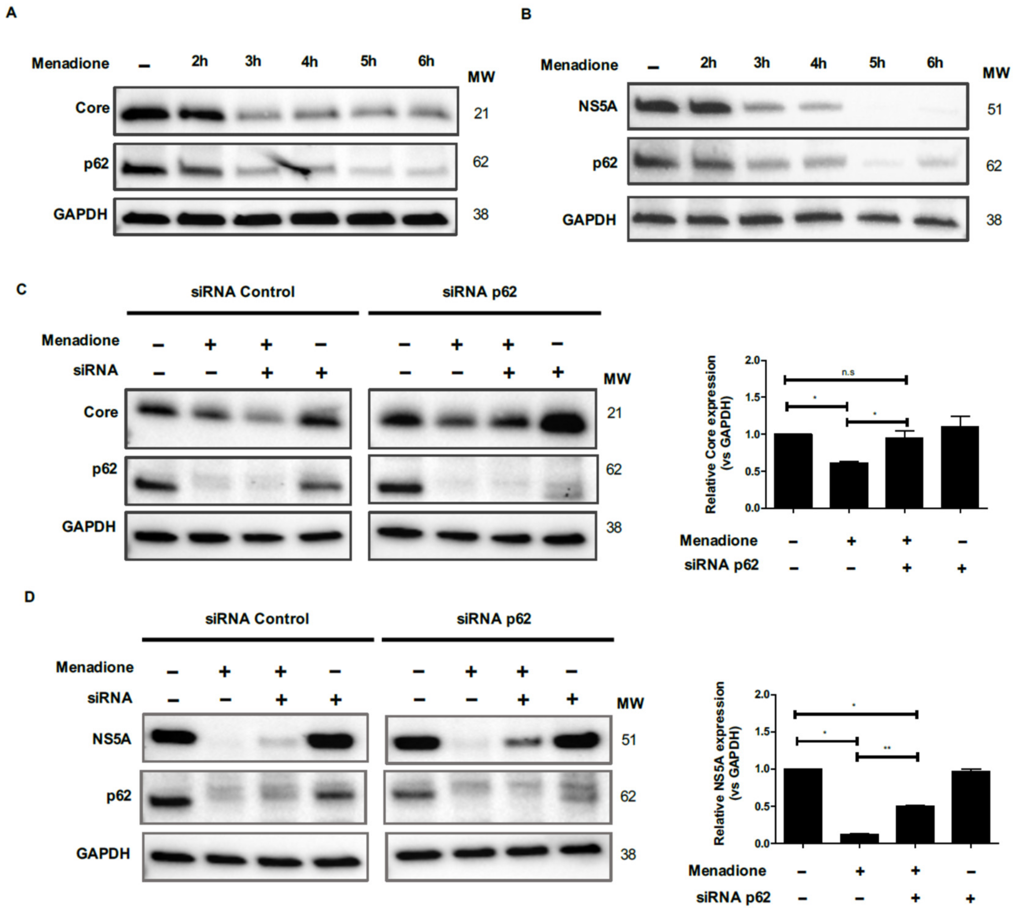 Viruses 12 00425 g008