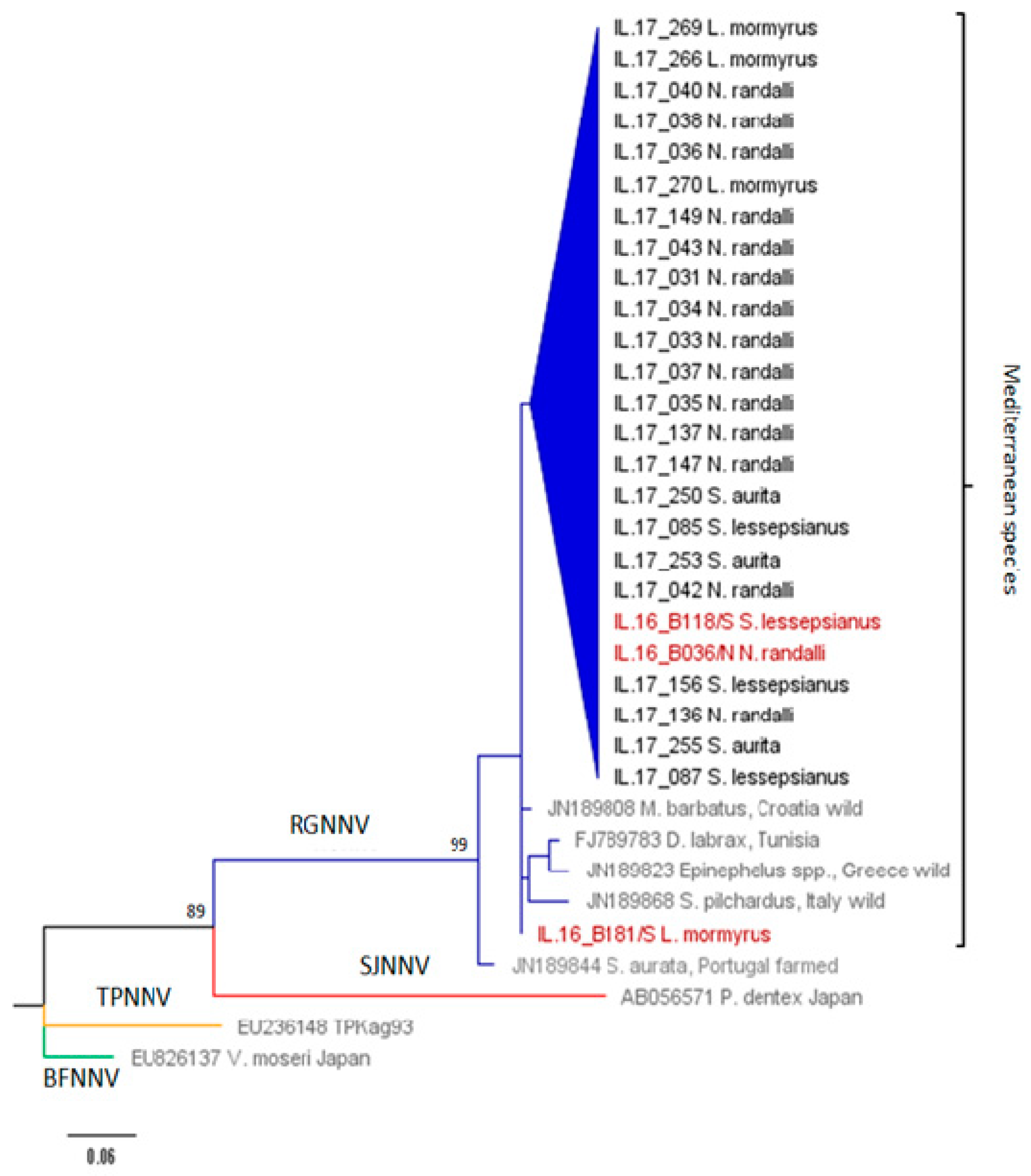Viruses 12 00430 g002