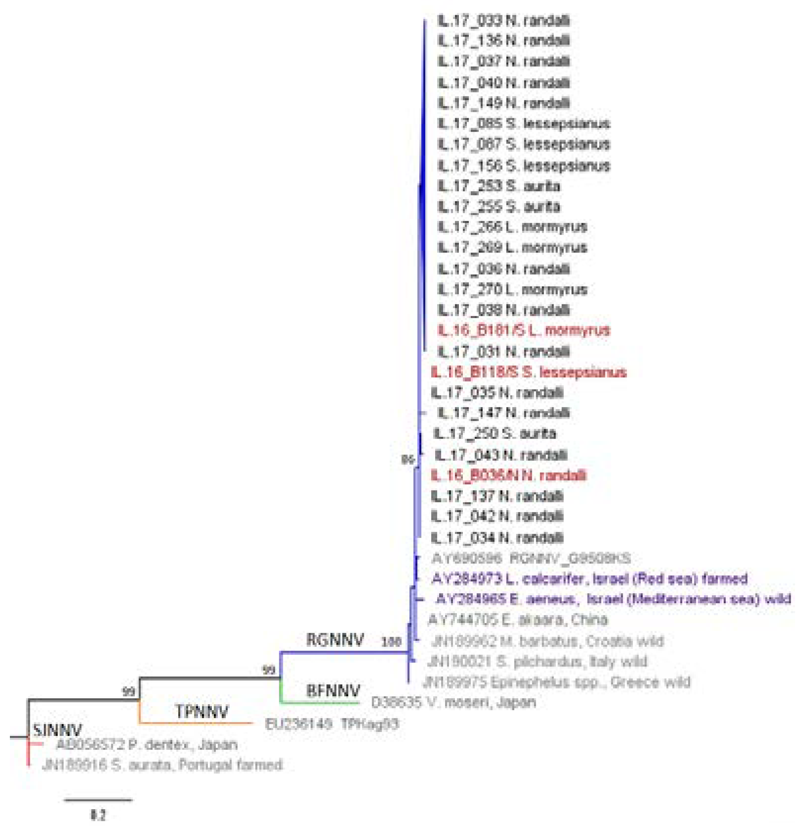 Viruses 12 00430 g003