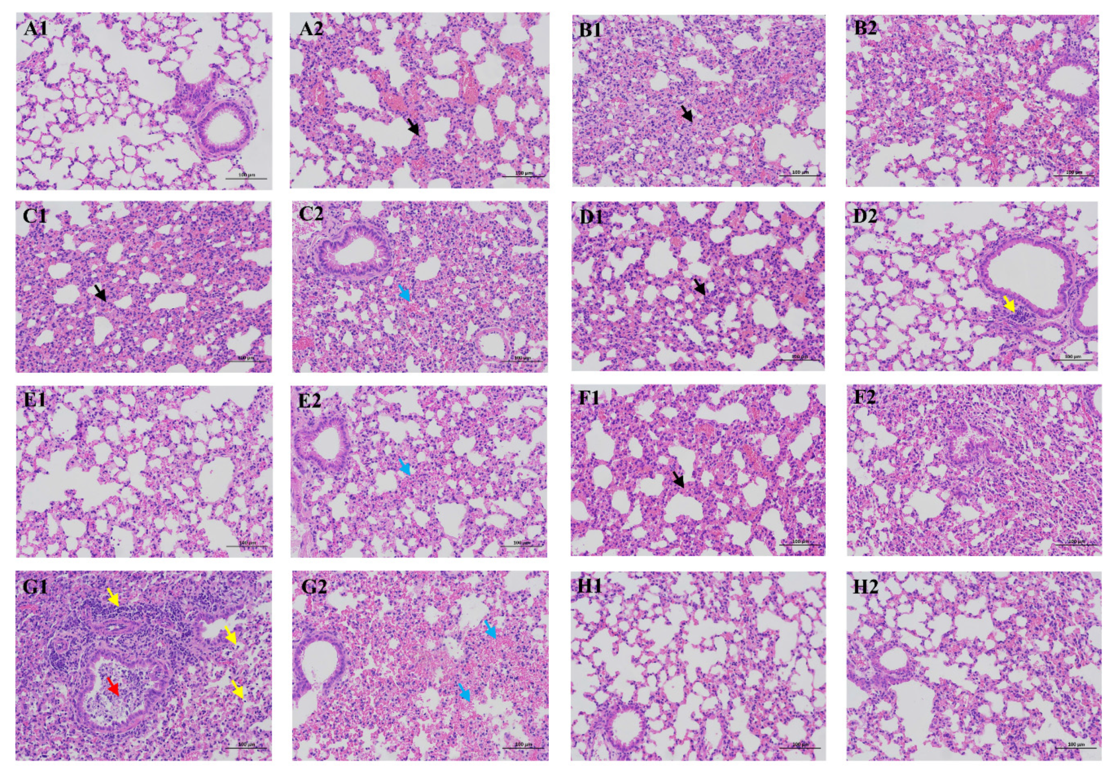 Viruses 12 00432 g004 Viruses 12 00432 g004