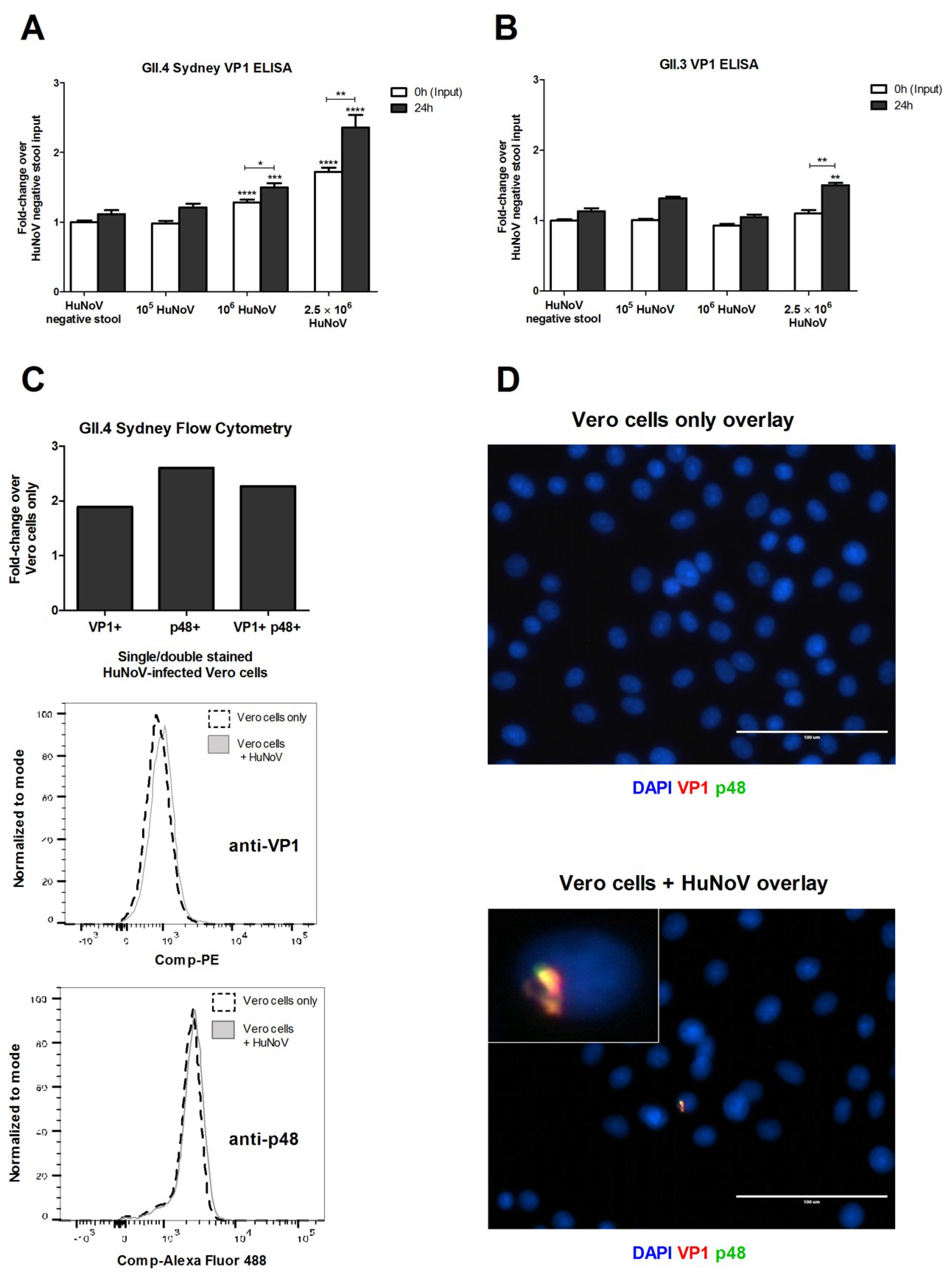Viruses 12 00439 g003