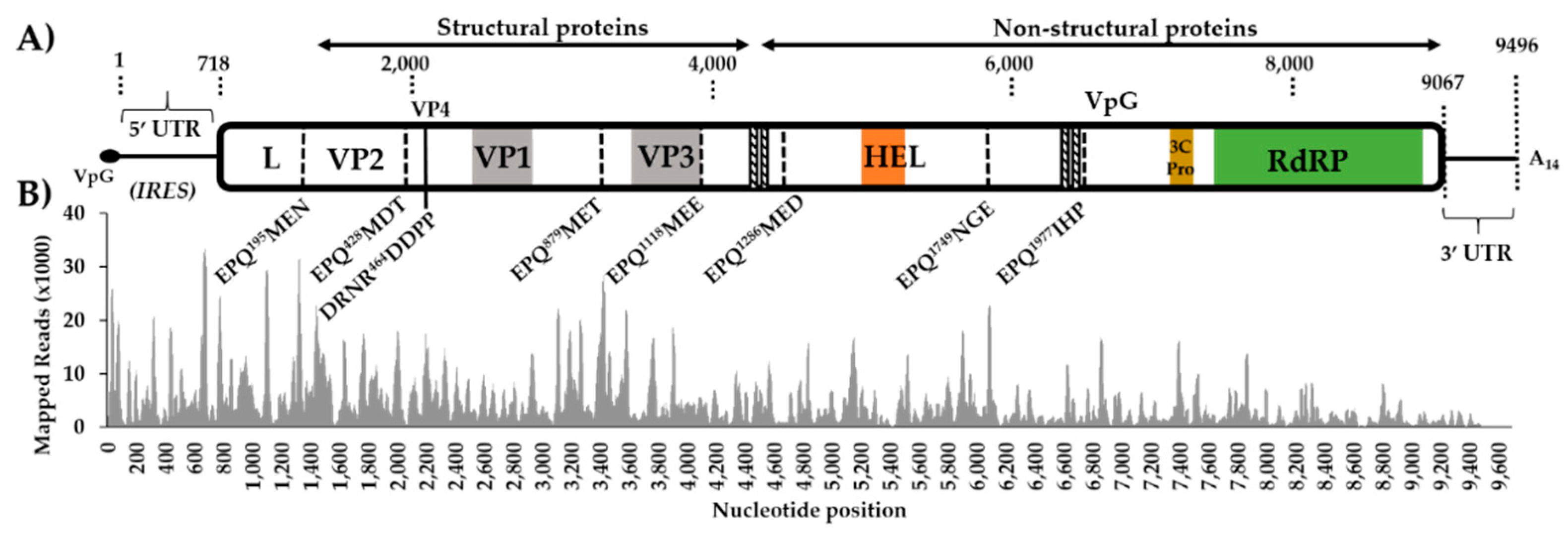Viruses 12 00440 g001