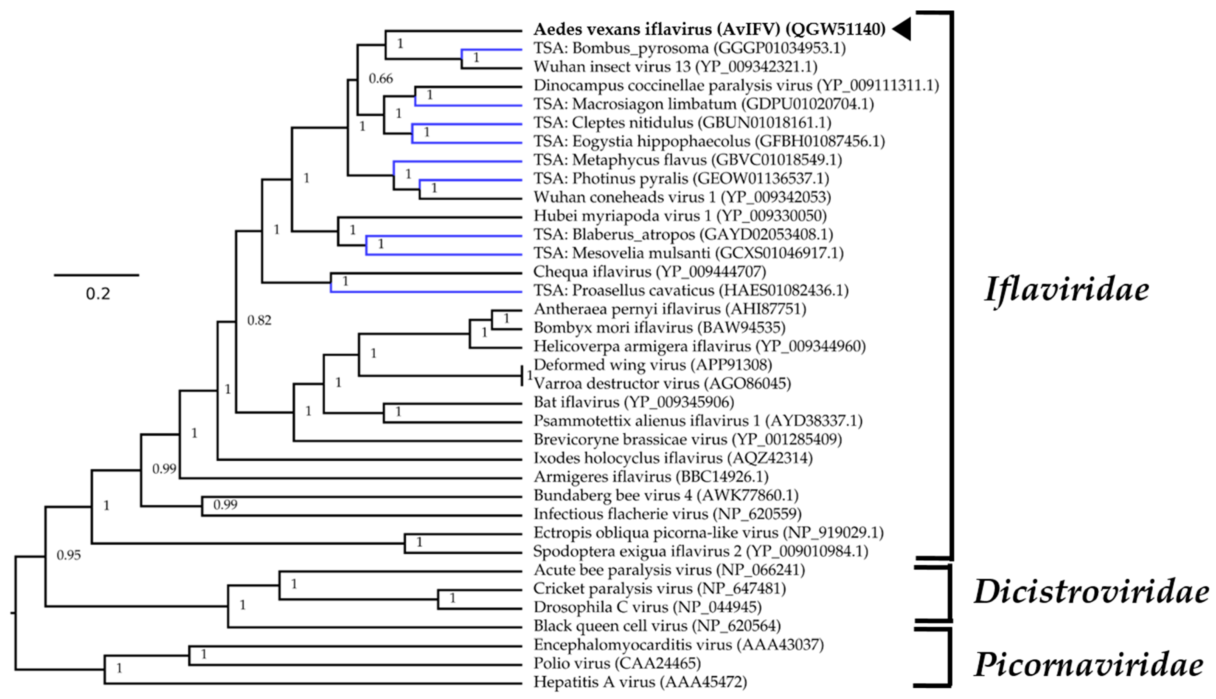 Viruses 12 00440 g002