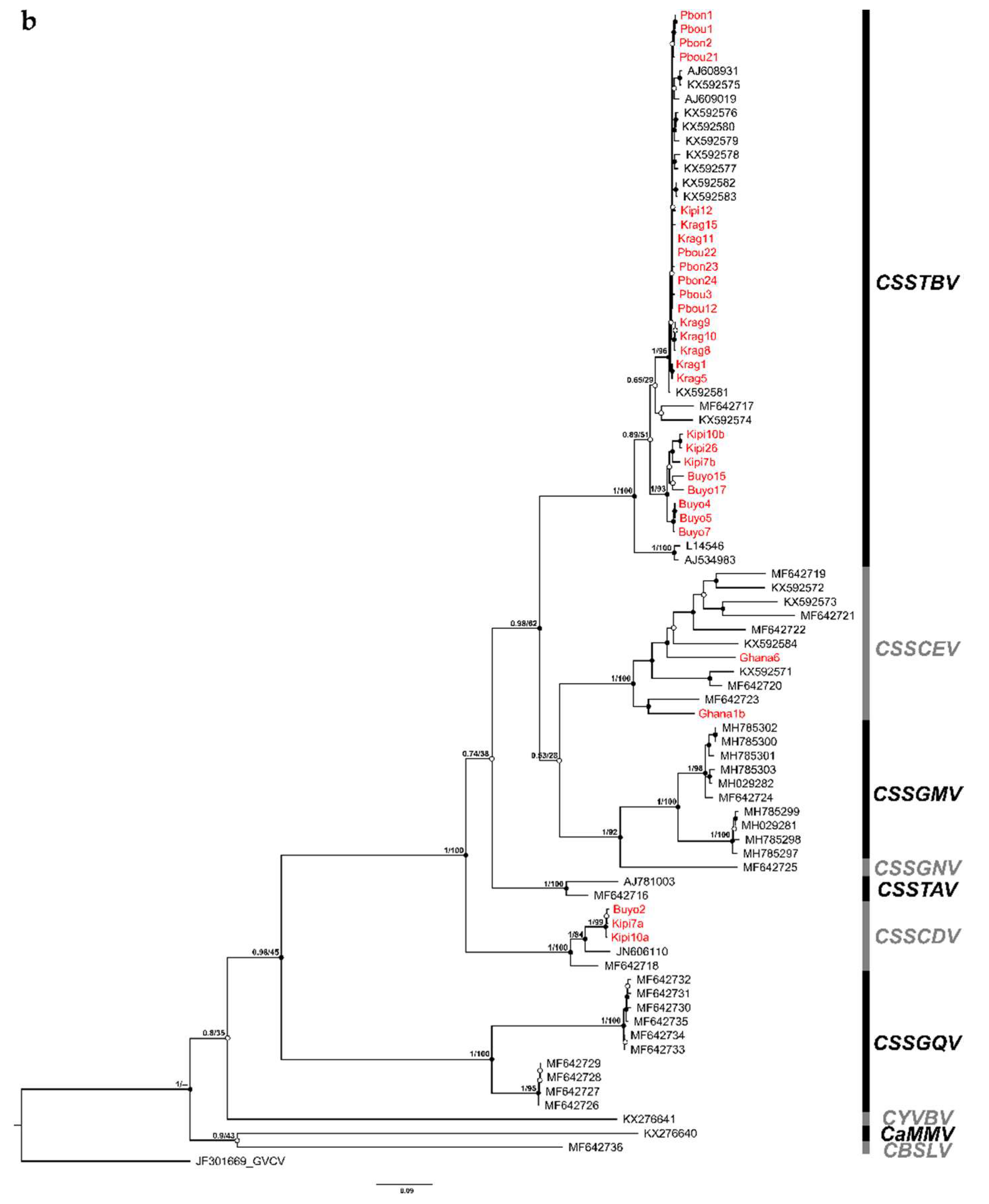 Viruses 12 00443 g001b Viruses 12 00443 g001b