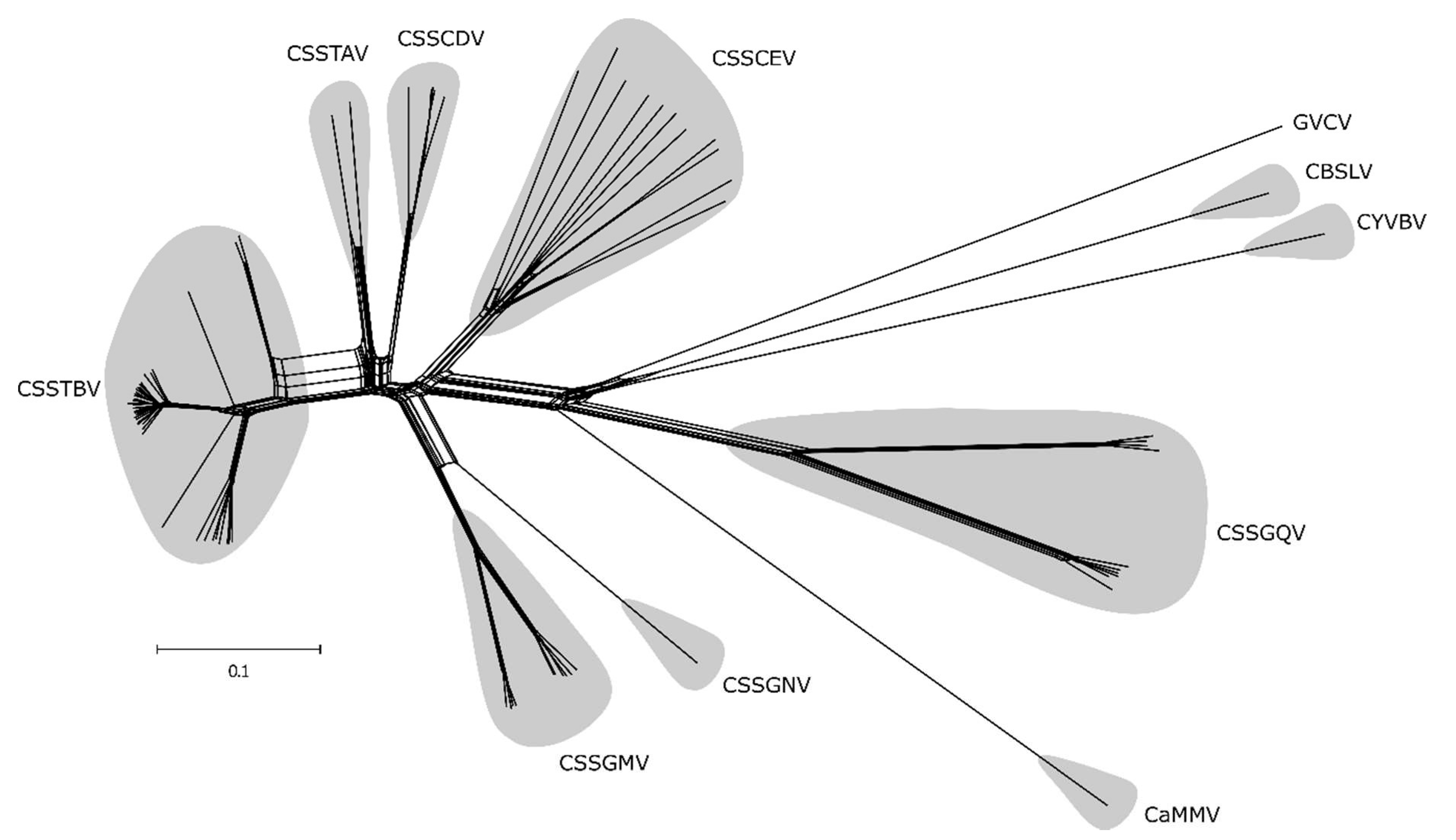 Viruses 12 00443 g002 Viruses 12 00443 g002