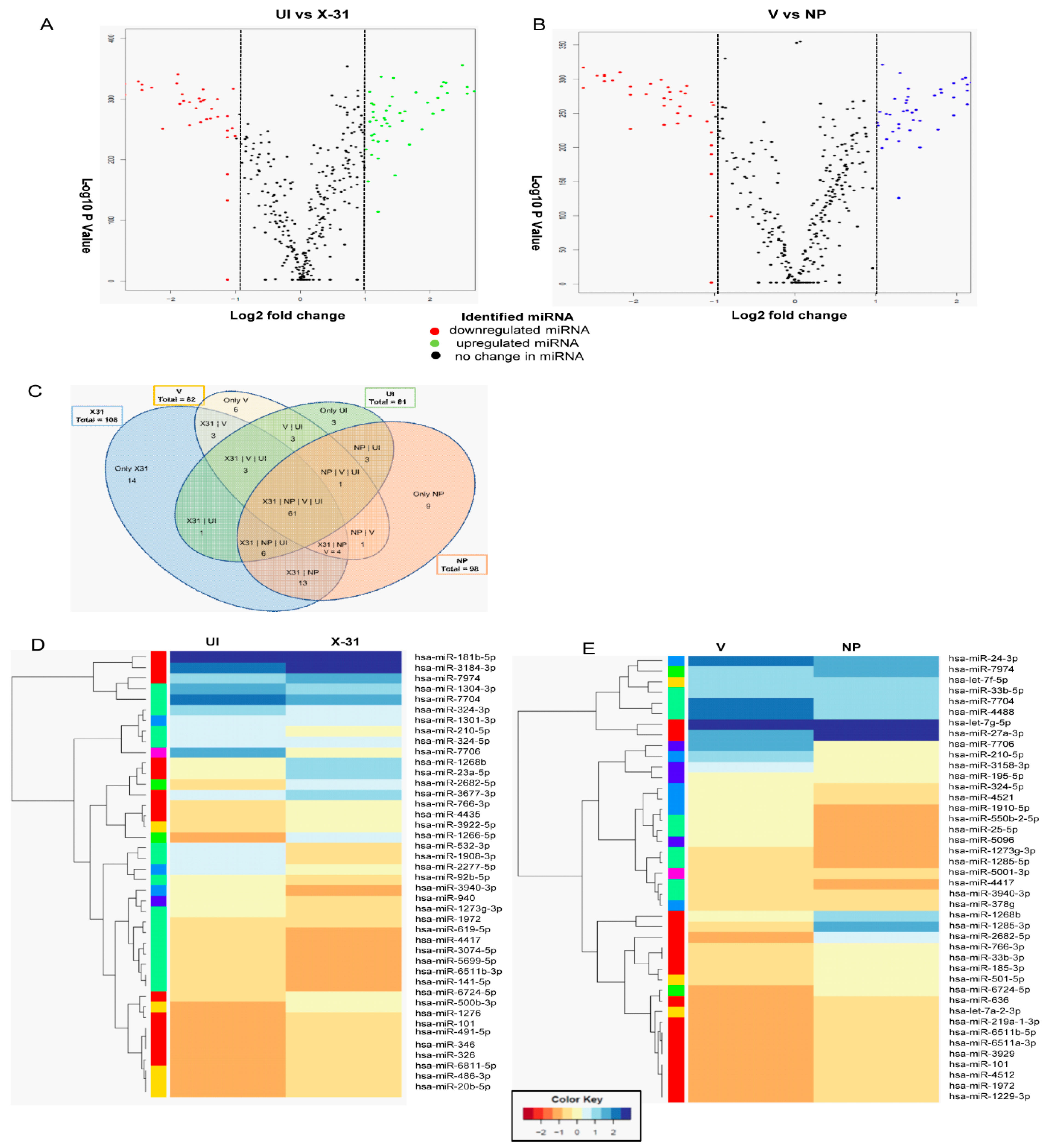 Viruses 12 00444 g004