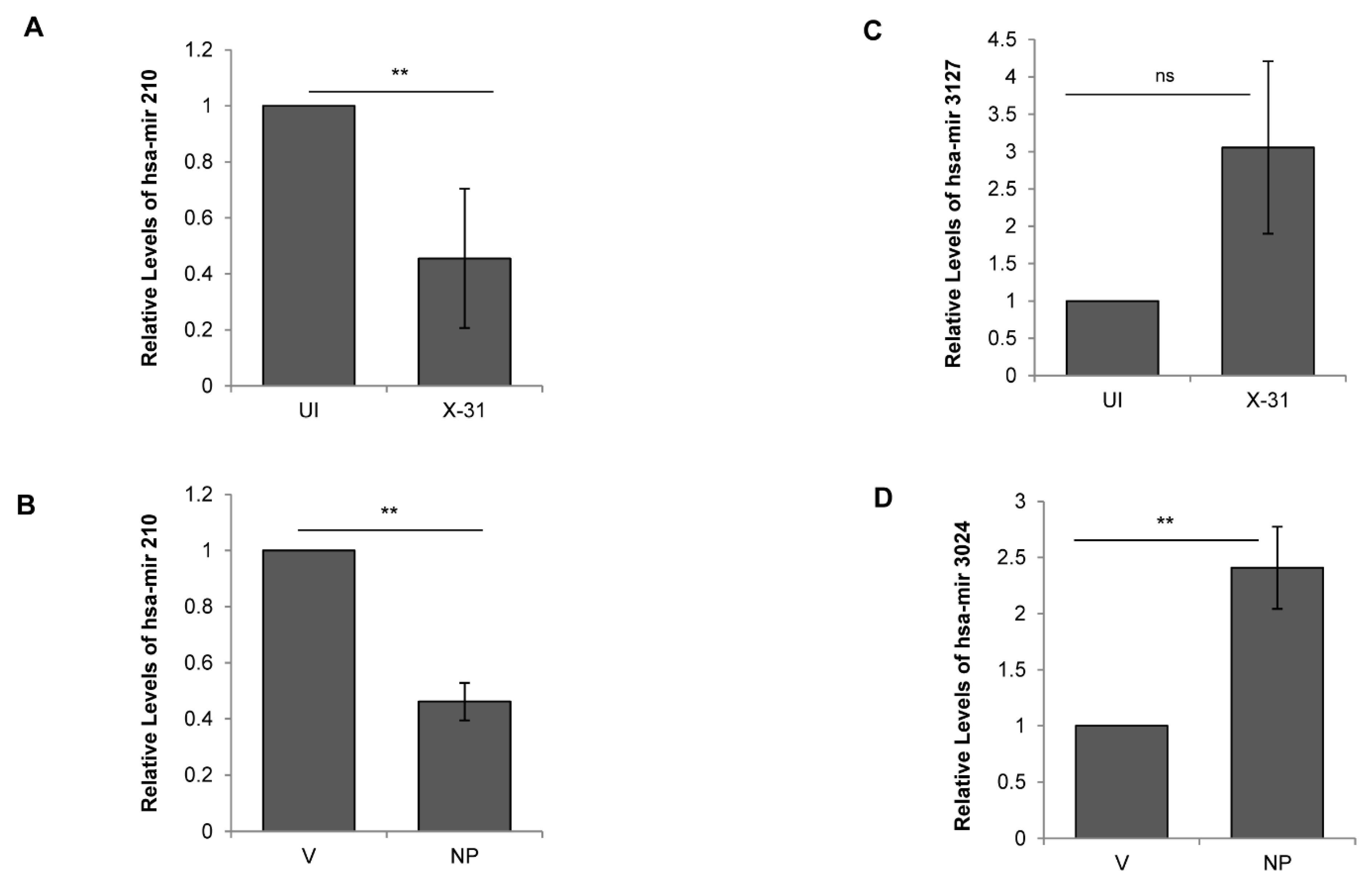 Viruses 12 00444 g005
