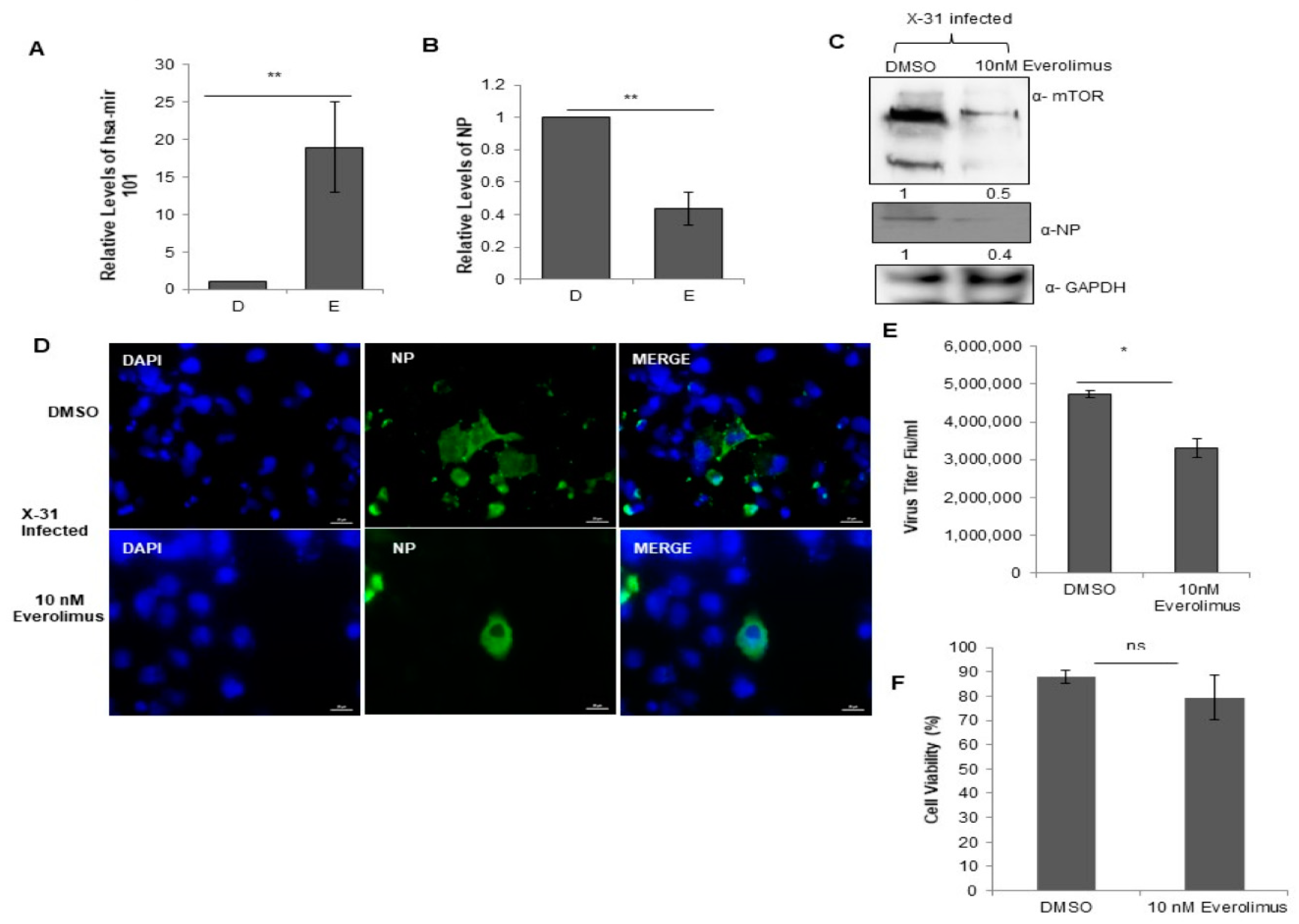 Viruses 12 00444 g007