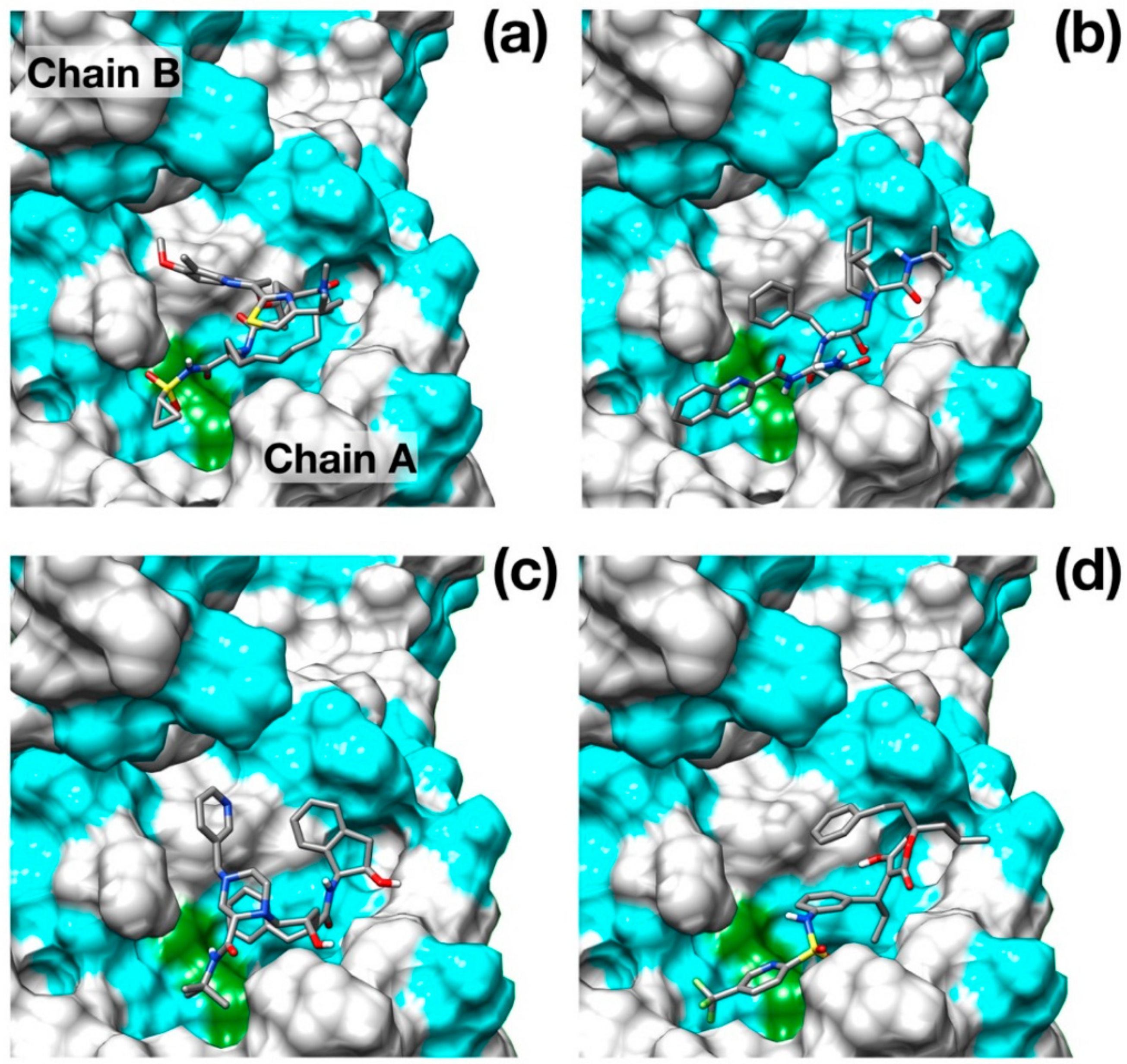 Viruses 12 00445 g002