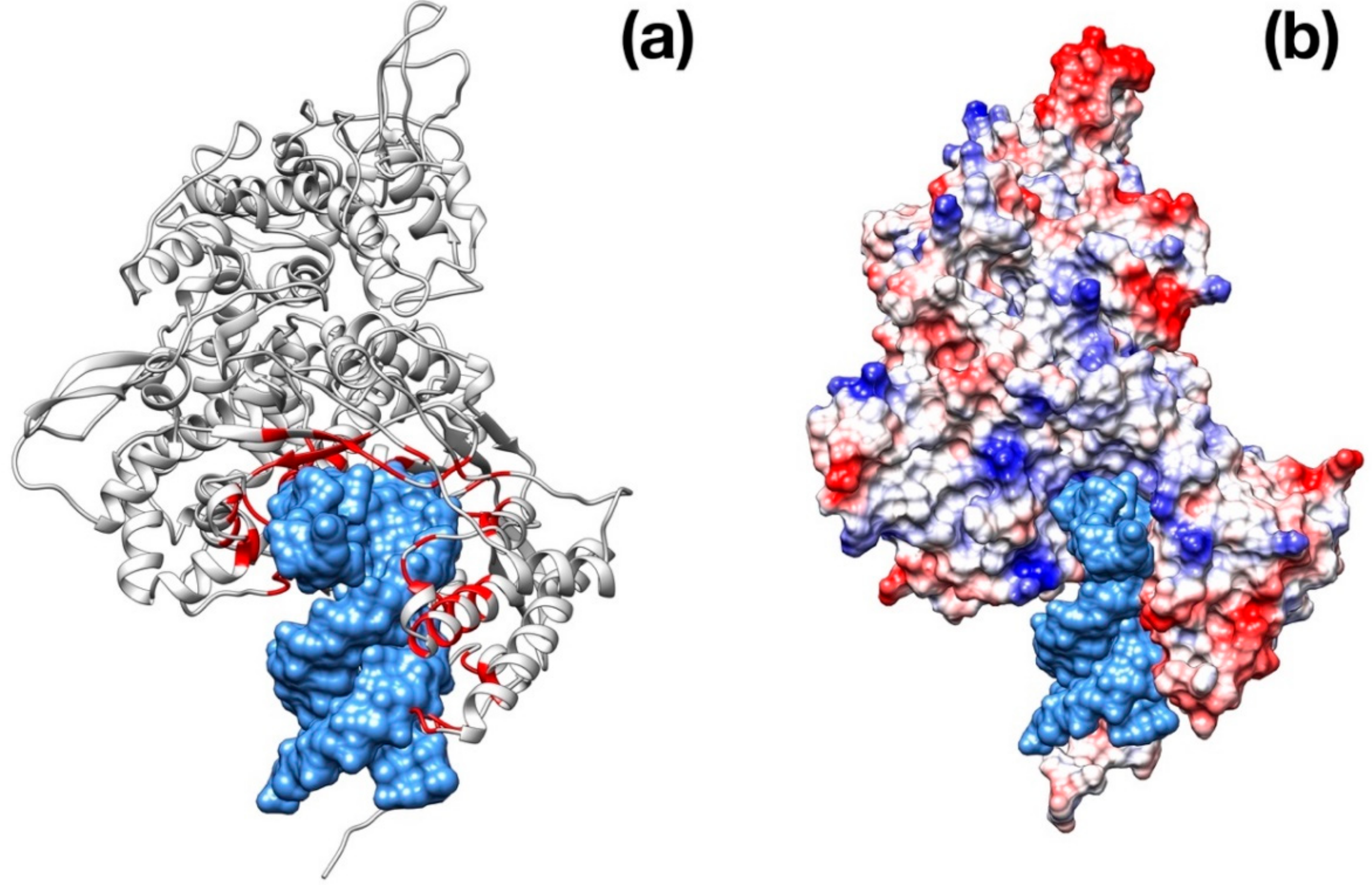 Viruses 12 00445 g006