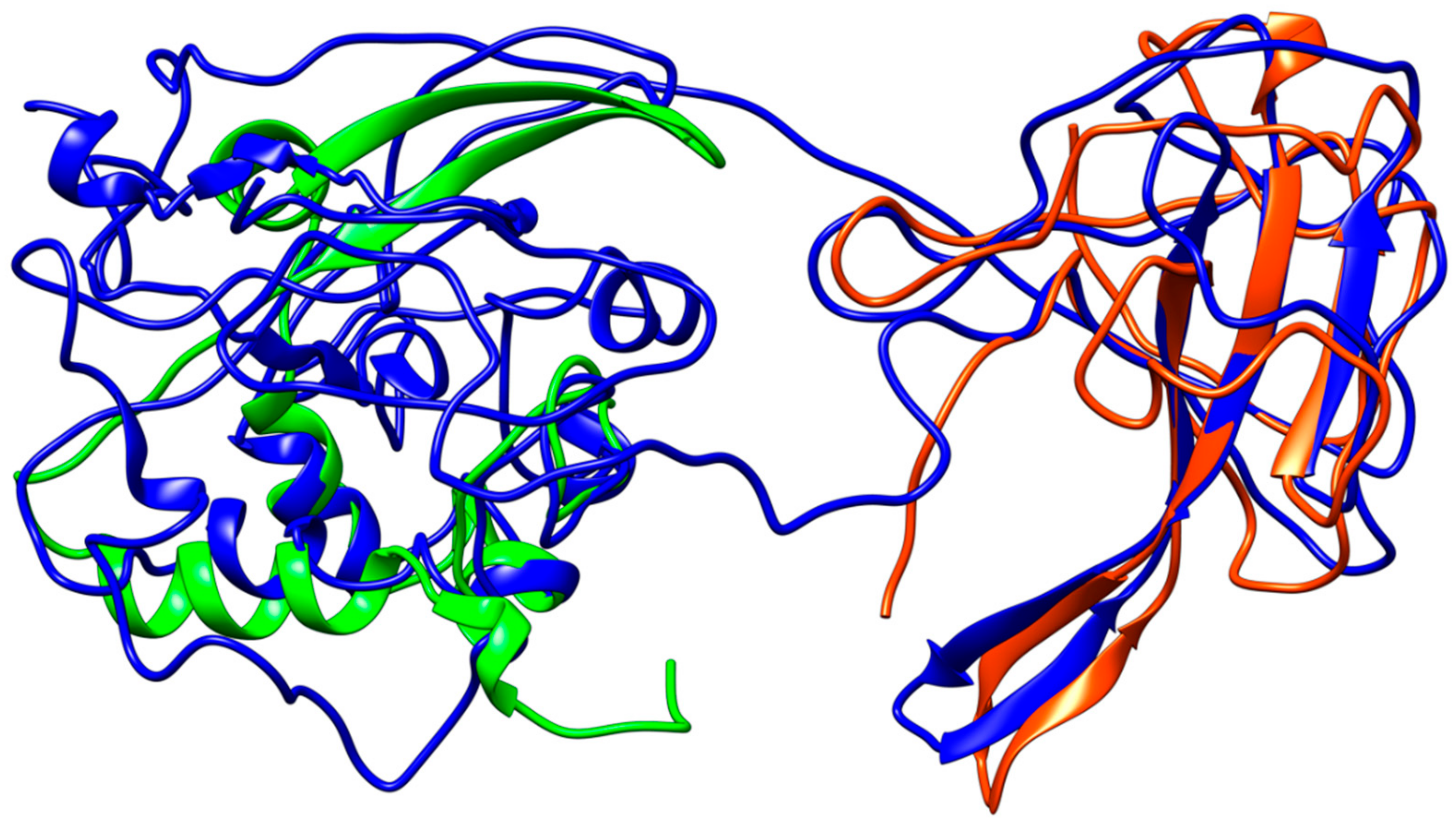 Viruses 12 00445 g007