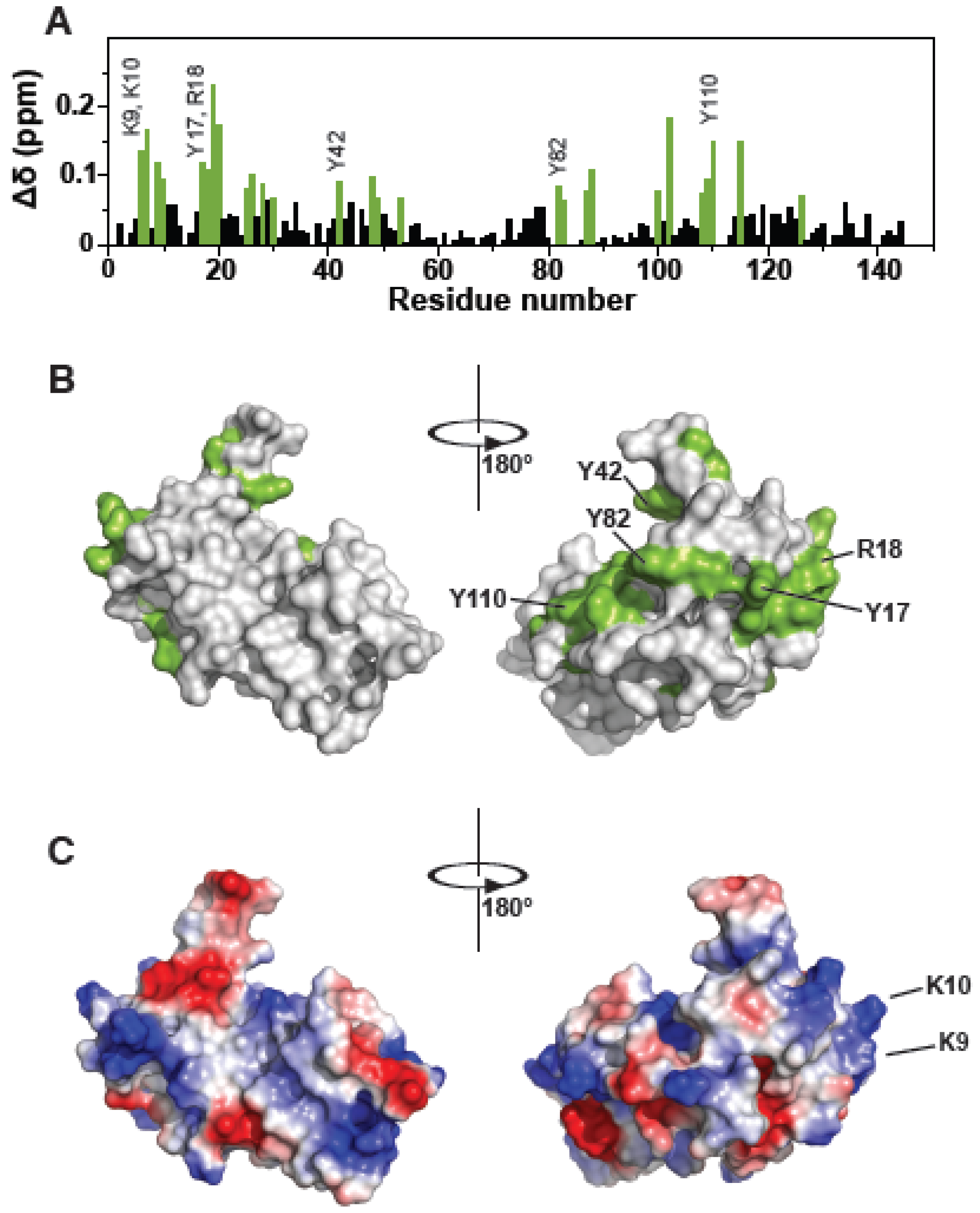 Viruses 12 00447 g001 Viruses 12 00447 g001