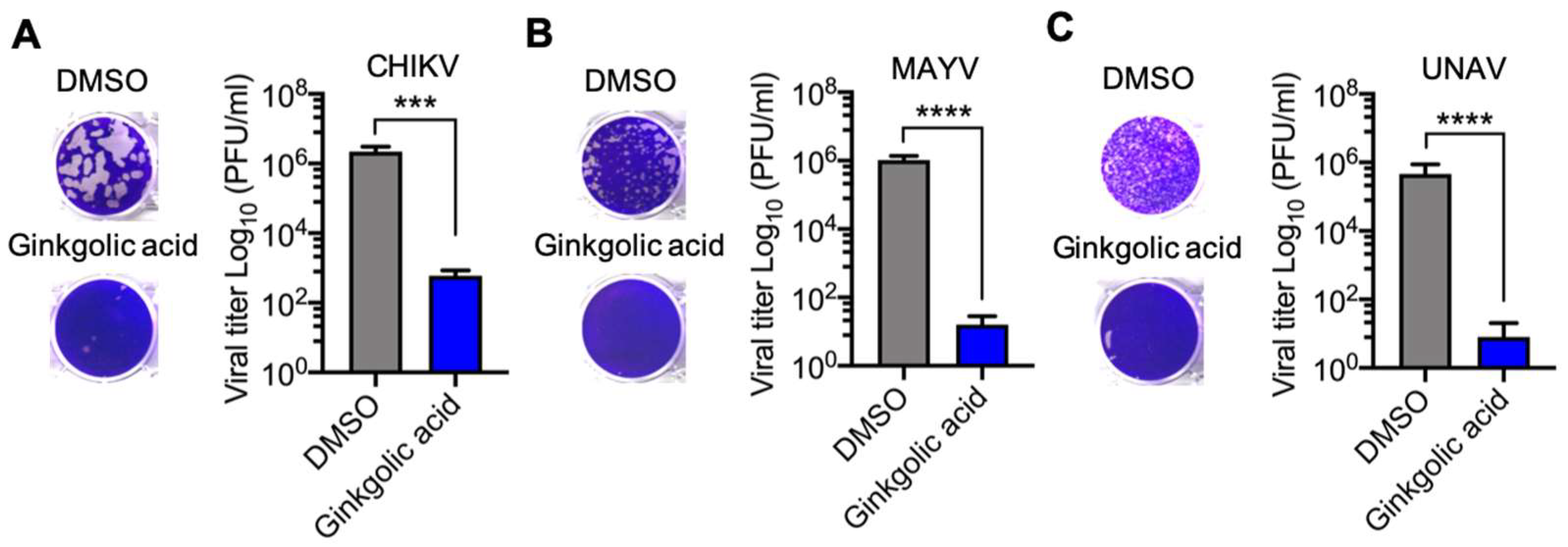 Viruses 12 00449 g003