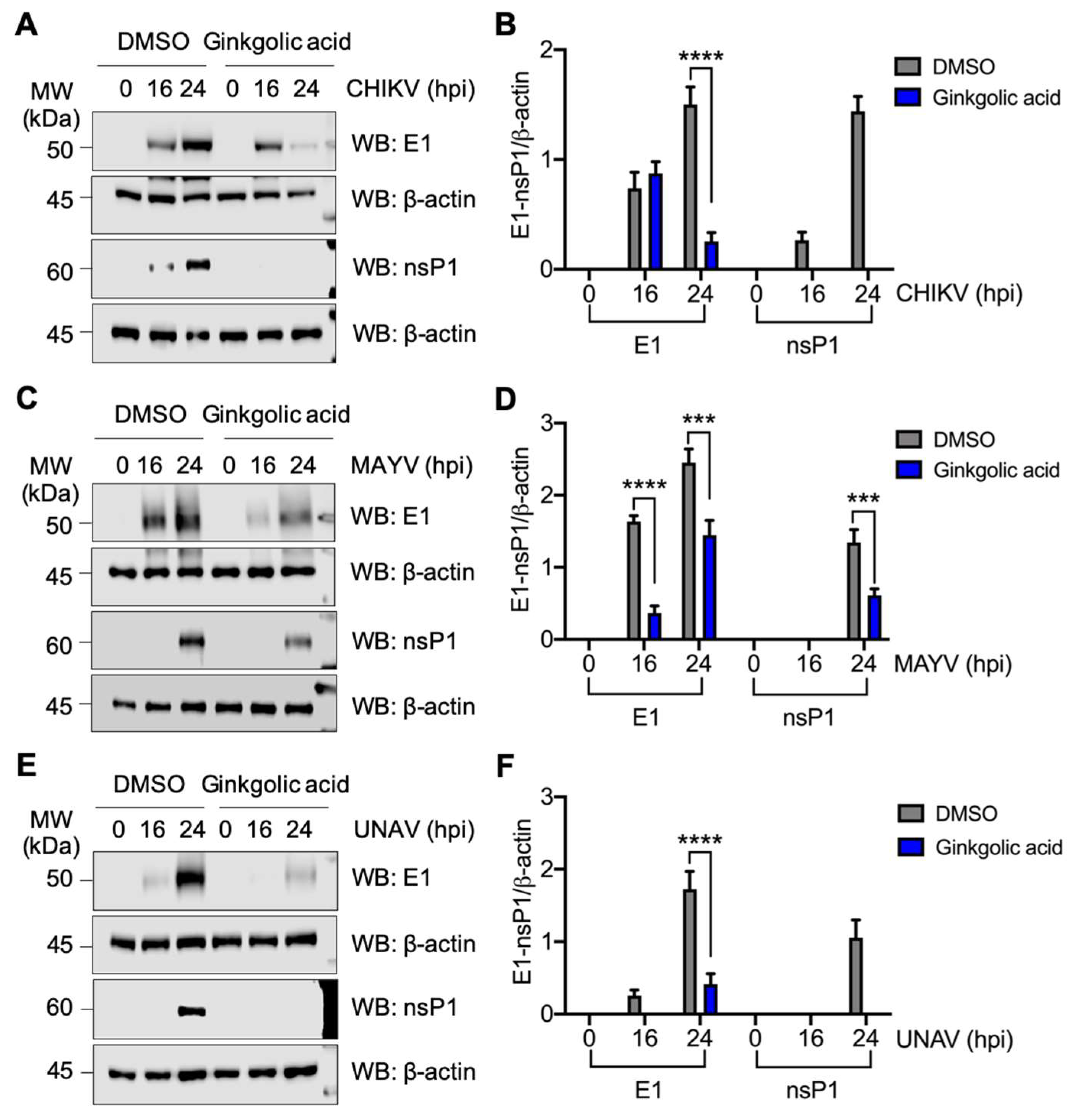 Viruses 12 00449 g005