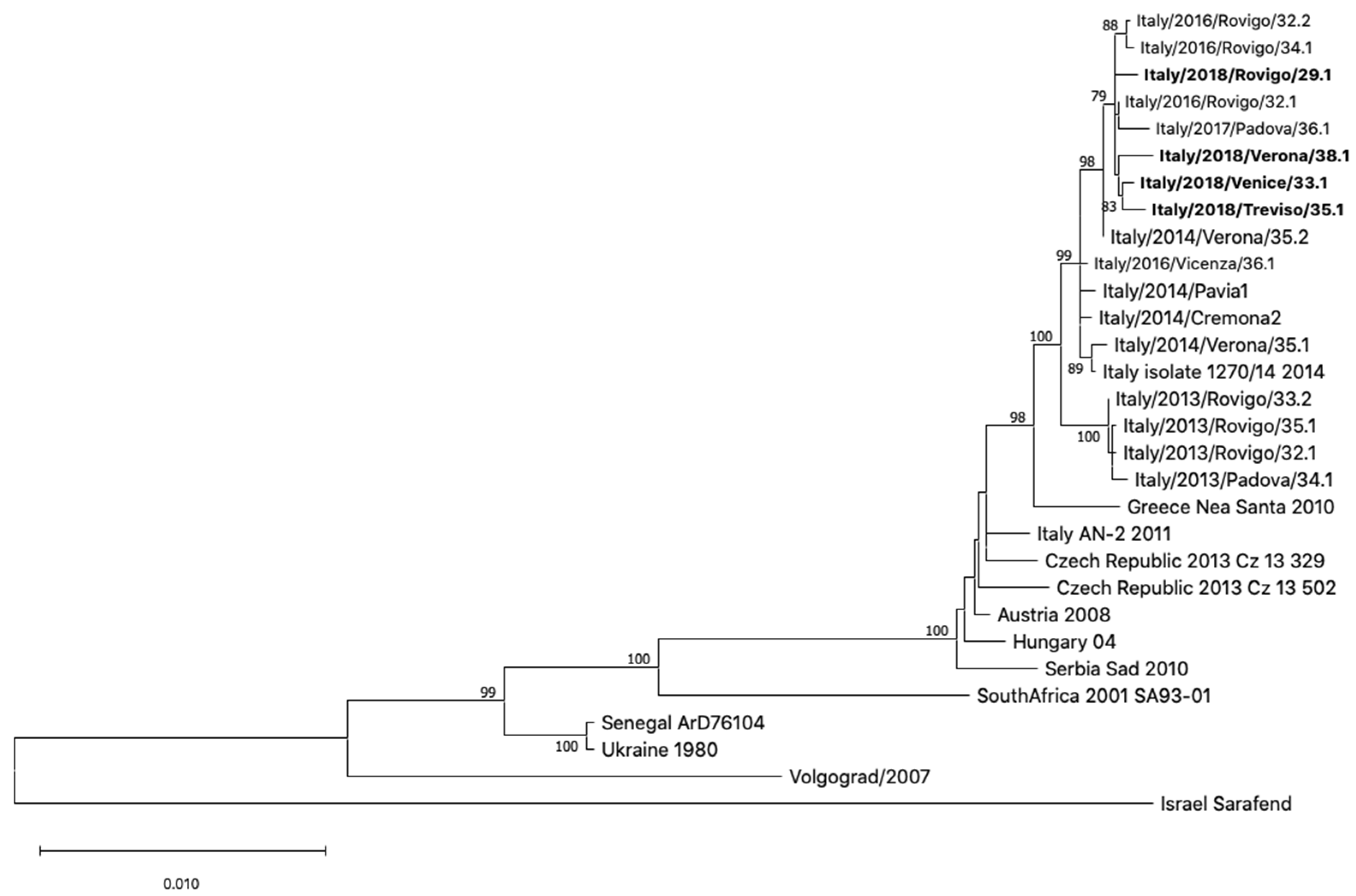 Viruses 12 00458 g008
