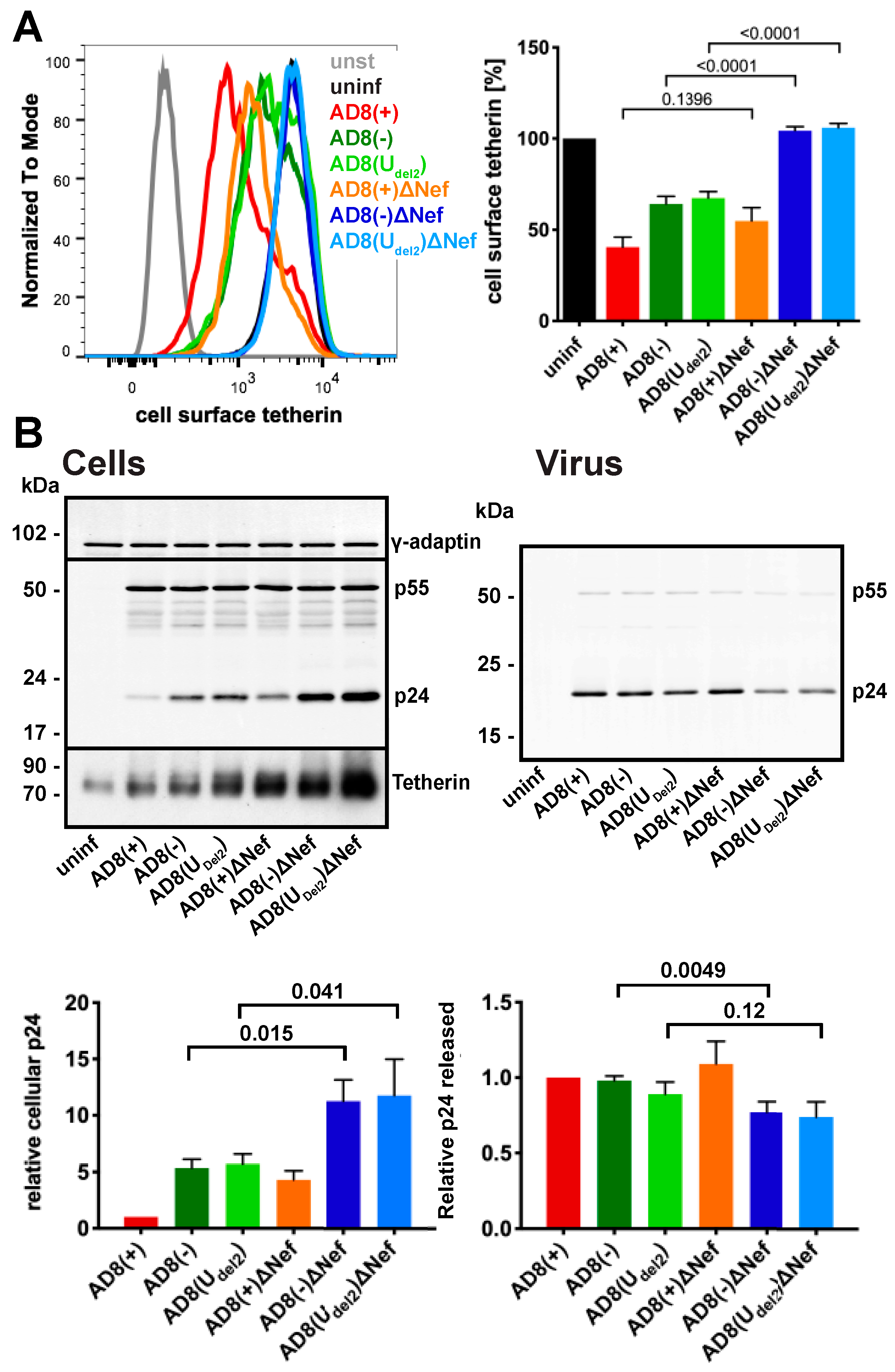 Viruses 12 00459 g003