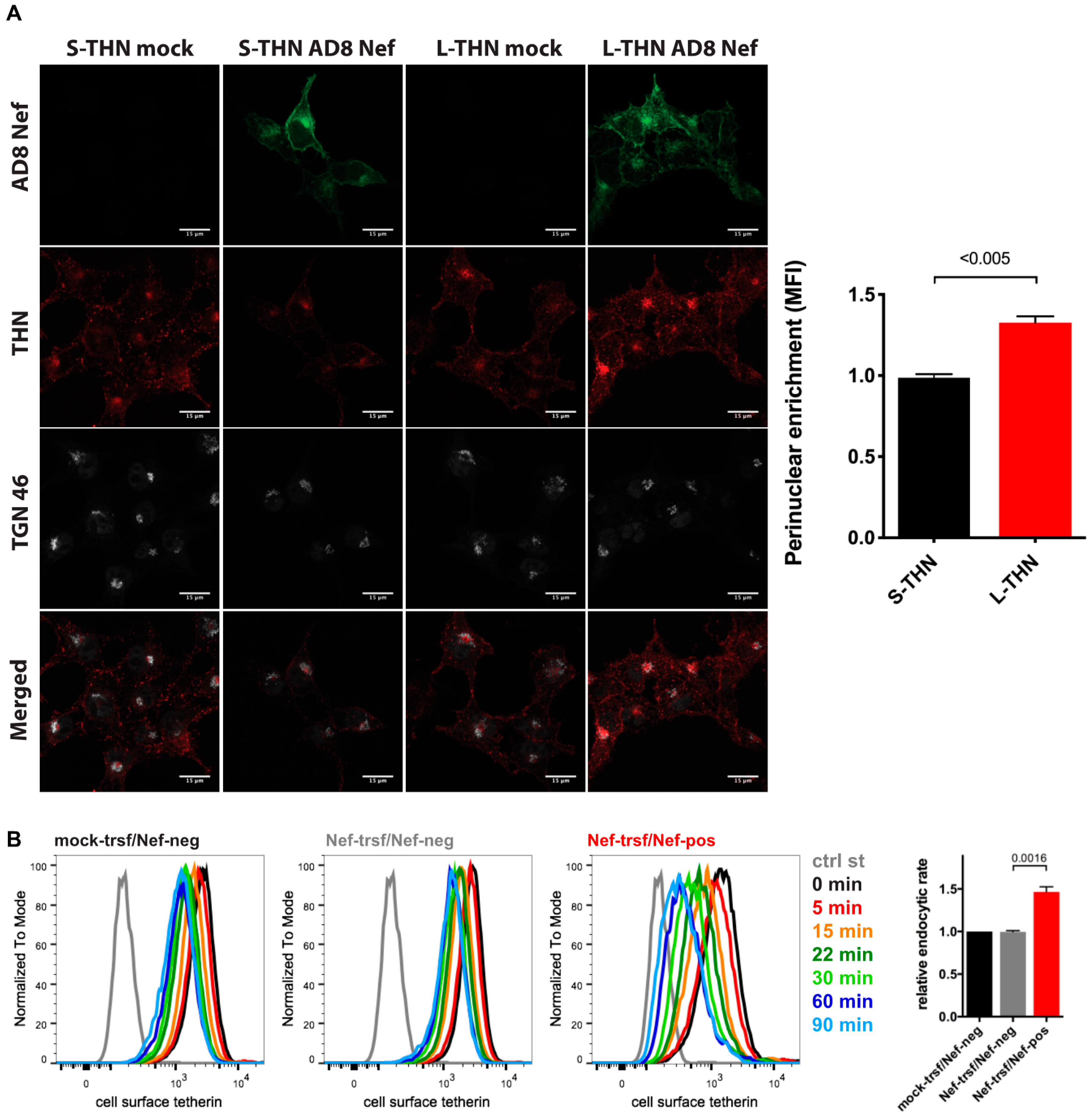 Viruses 12 00459 g006
