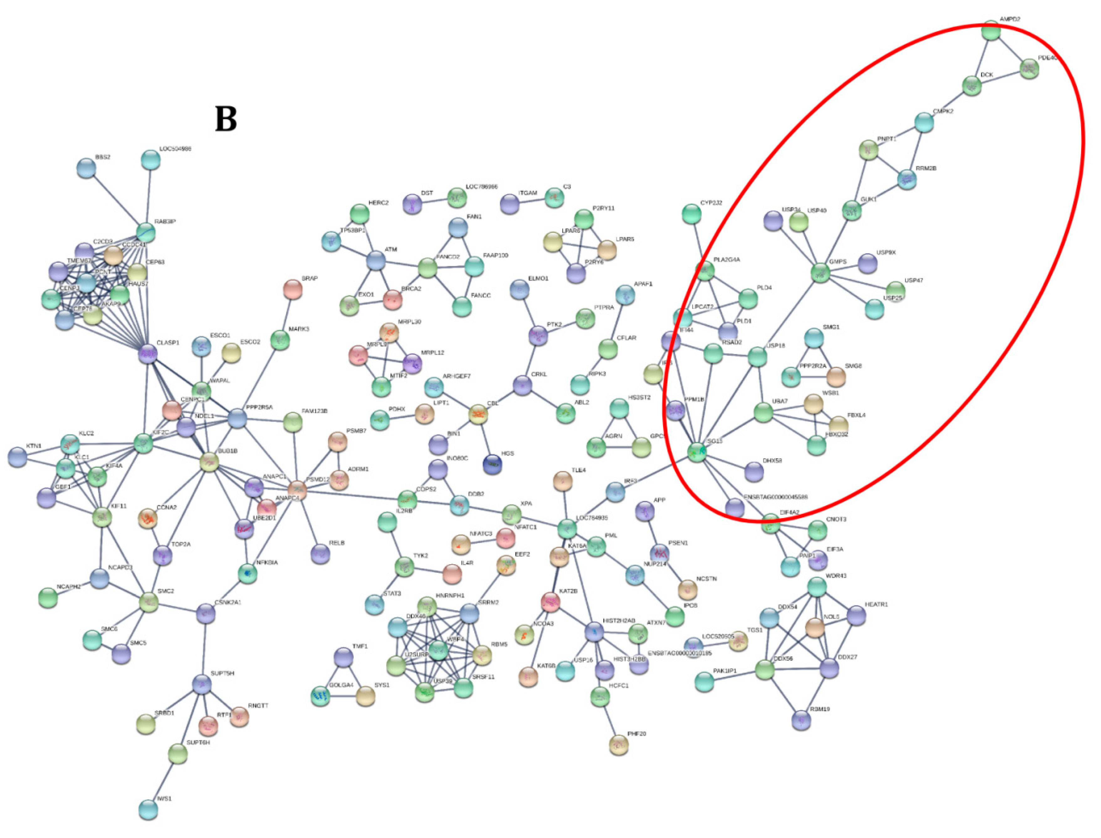 Viruses 12 00463 g004b