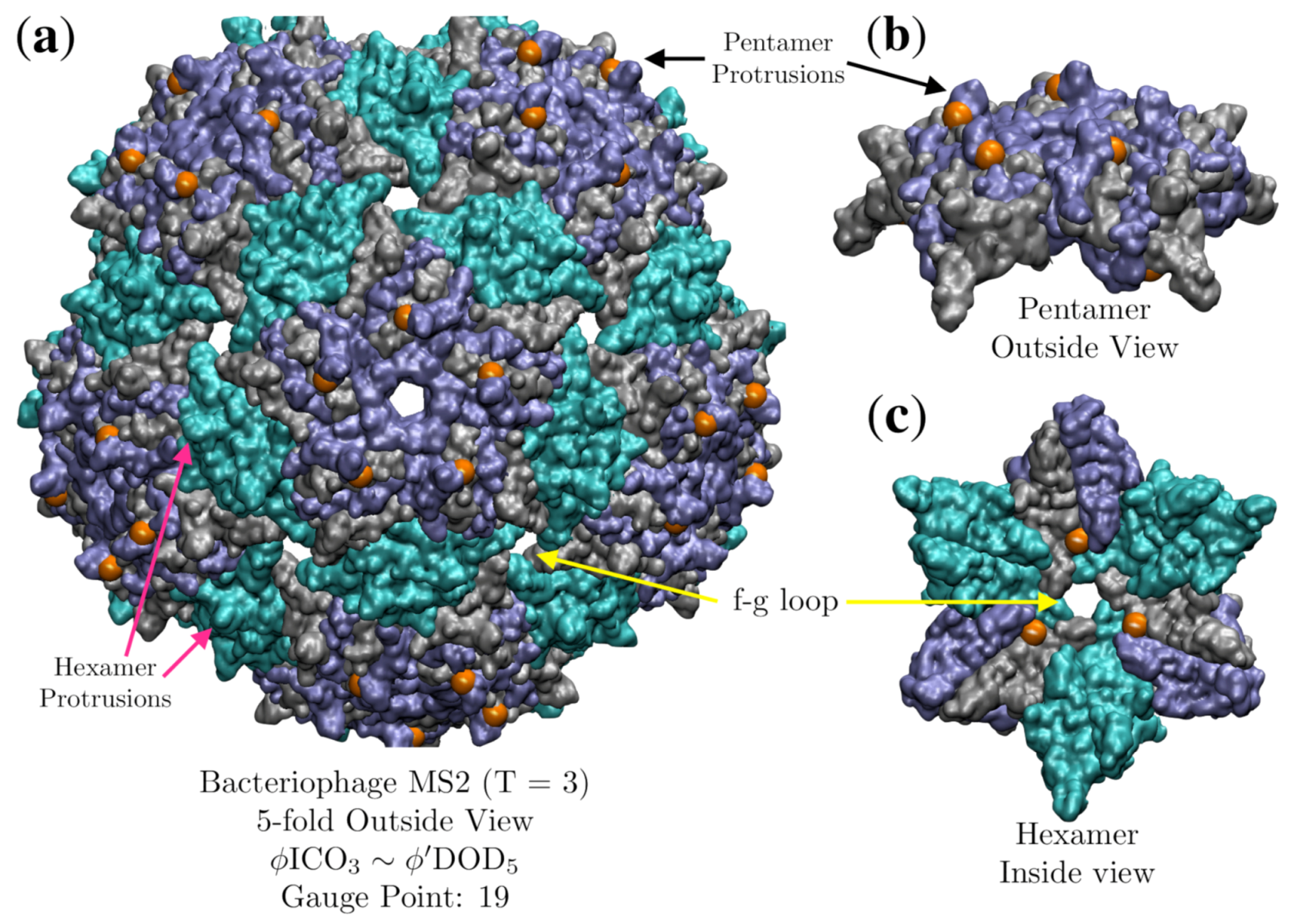 Viruses 12 00467 g015 Viruses 12 00467 g015