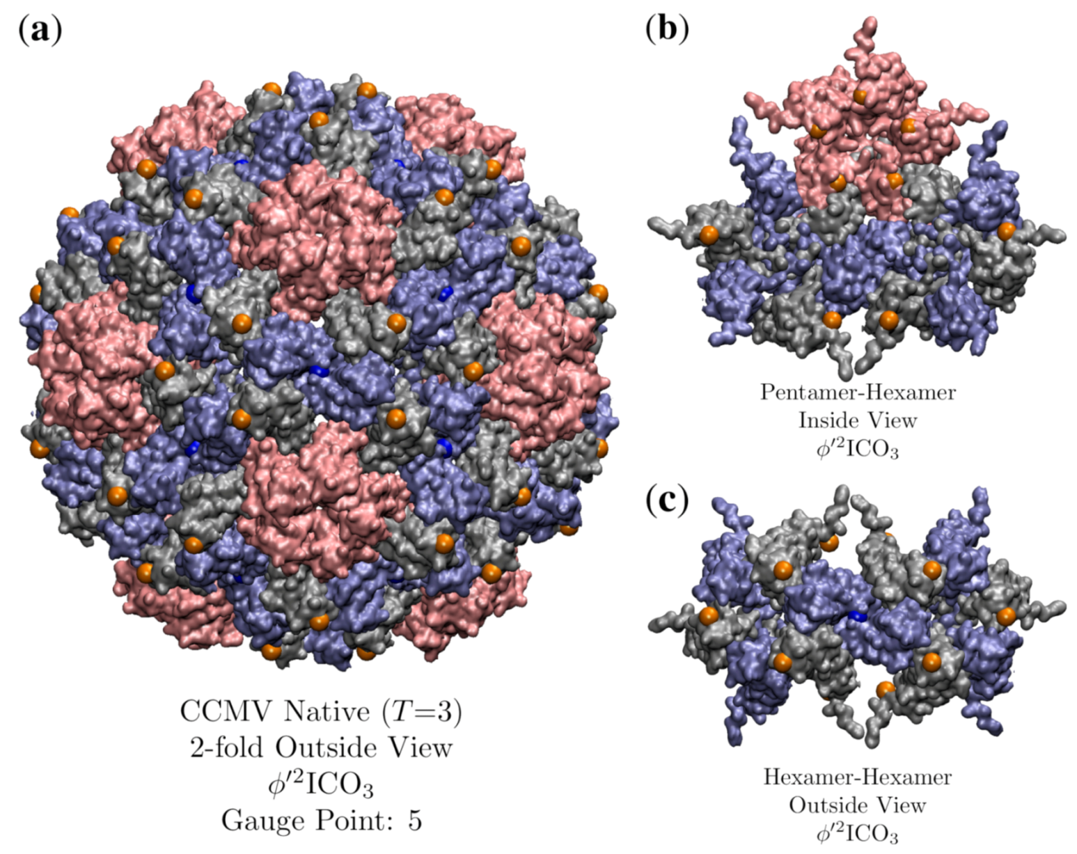 Viruses 12 00467 g017 Viruses 12 00467 g017