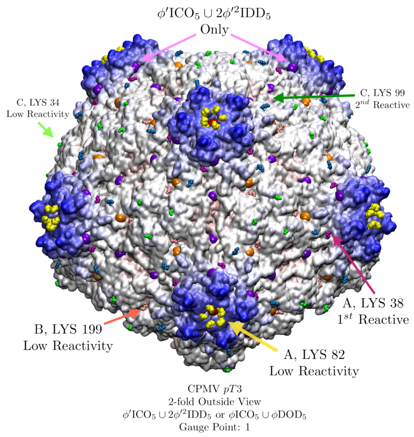 Viruses 12 00467 g019 Viruses 12 00467 g019