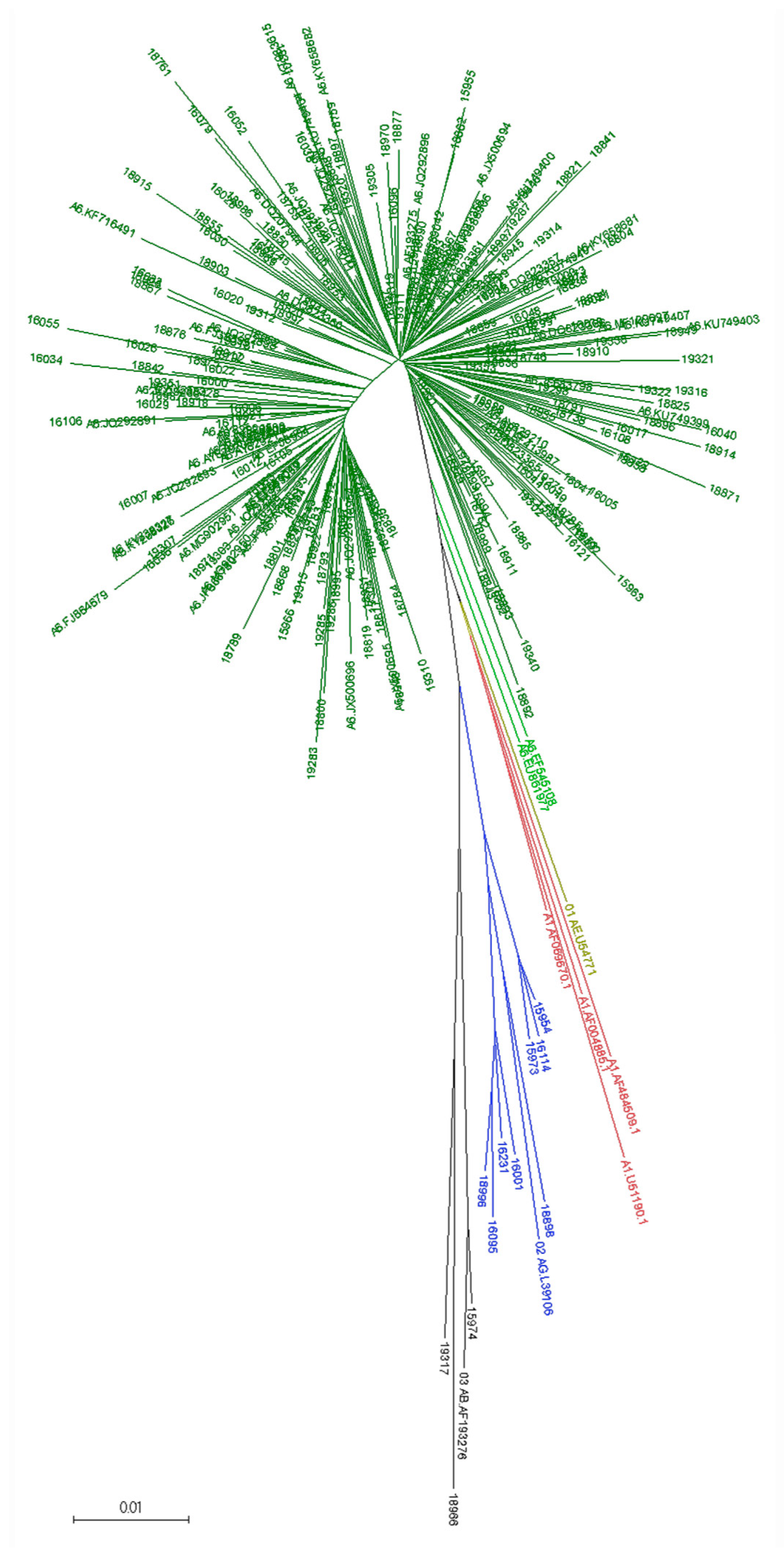 Viruses 12 00475 g002
