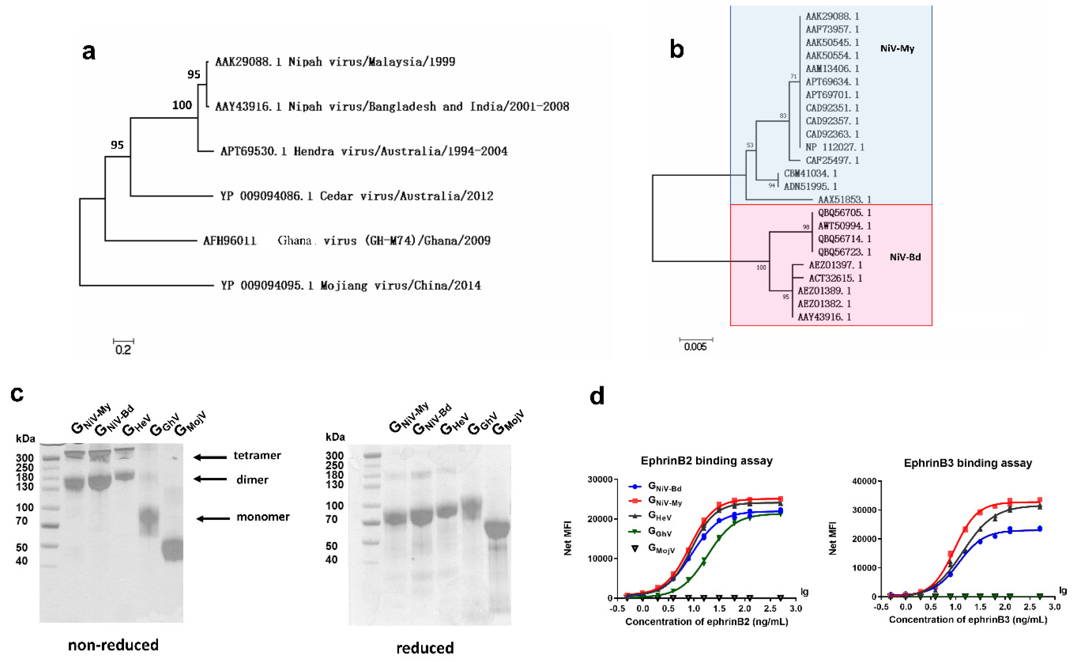 Viruses 12 00480 g001 Viruses 12 00480 g001