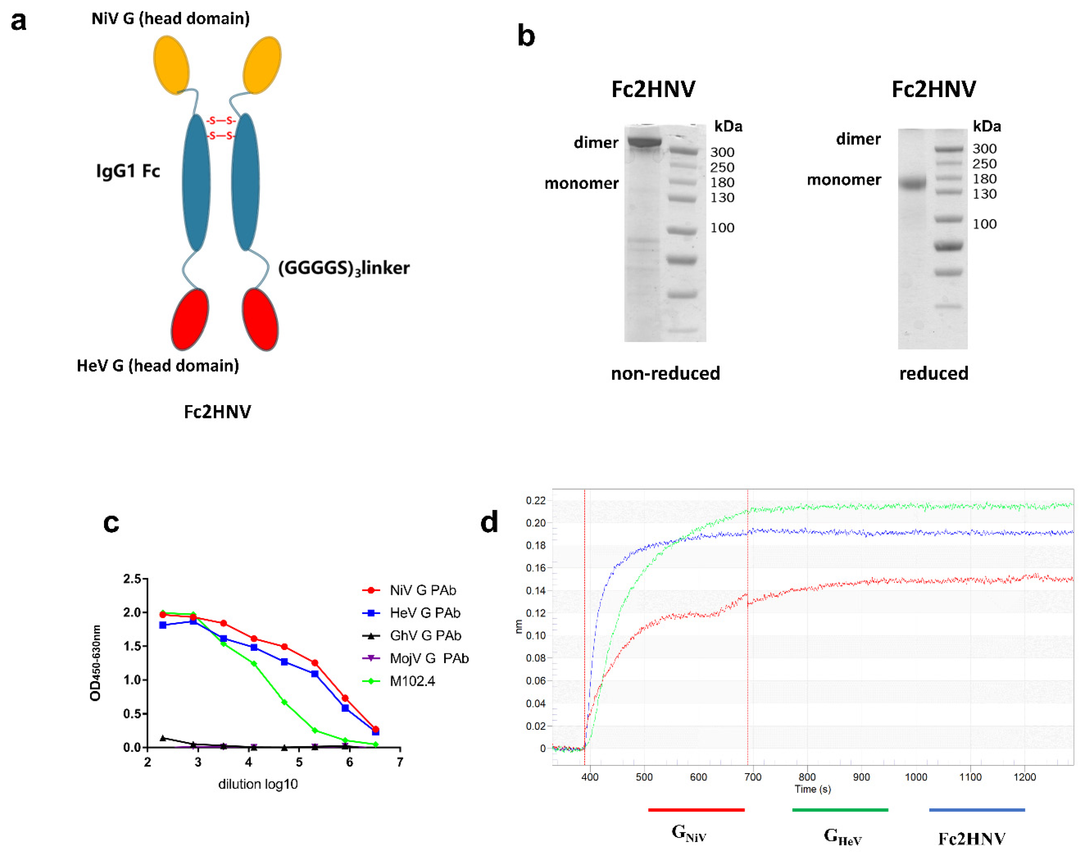 Viruses 12 00480 g005 Viruses 12 00480 g005