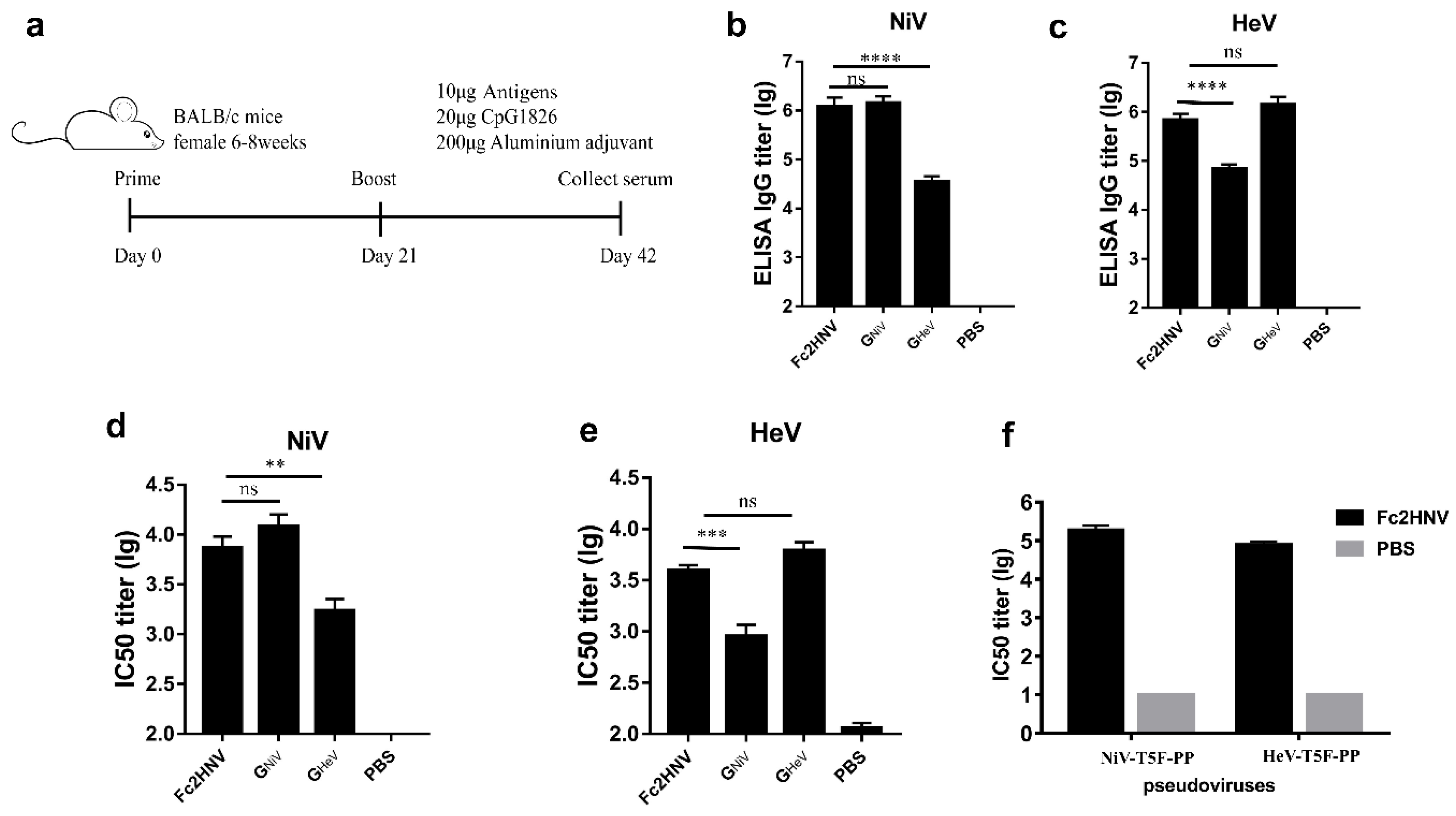 Viruses 12 00480 g006 Viruses 12 00480 g006