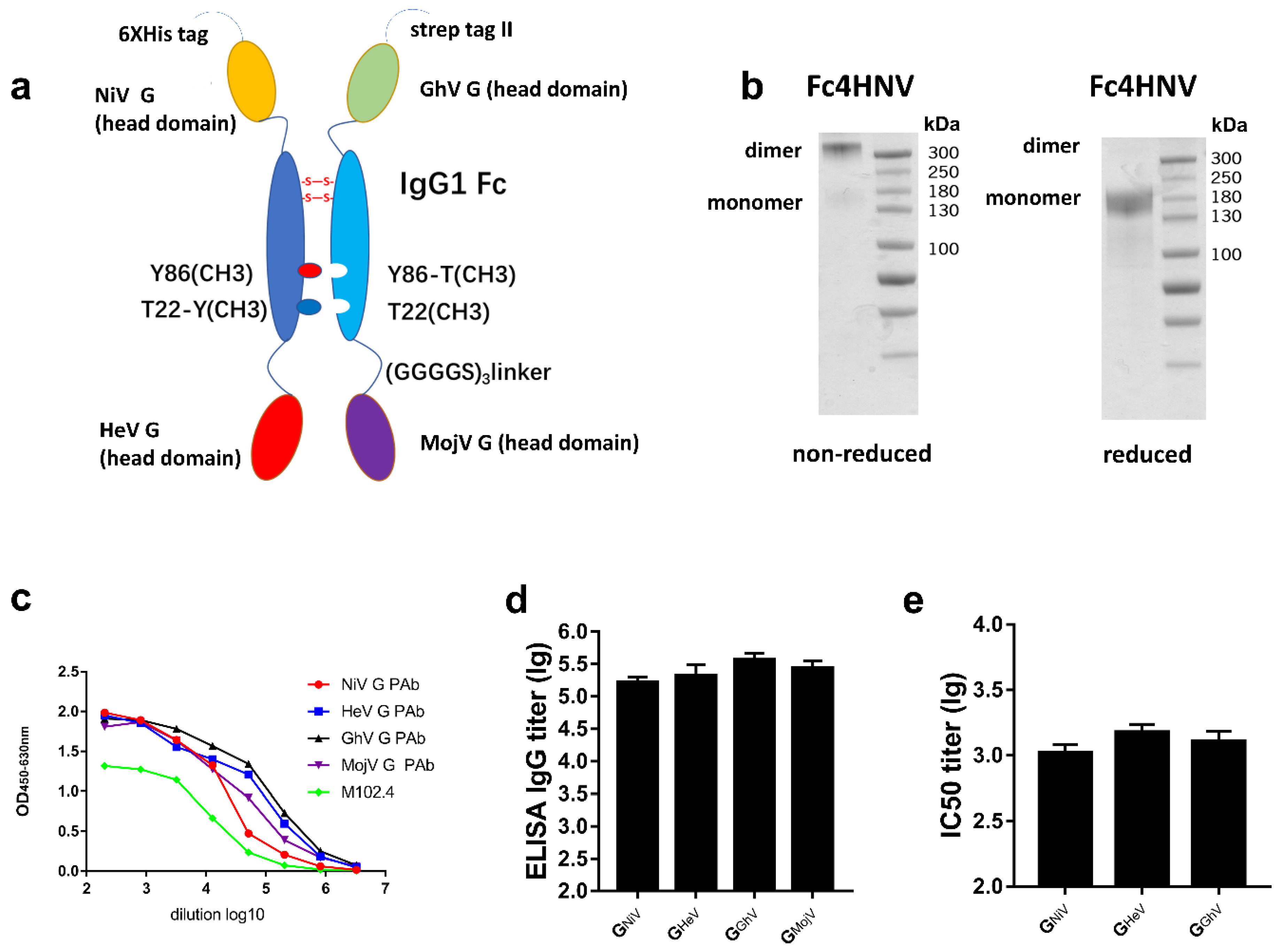 Viruses 12 00480 g007 Viruses 12 00480 g007