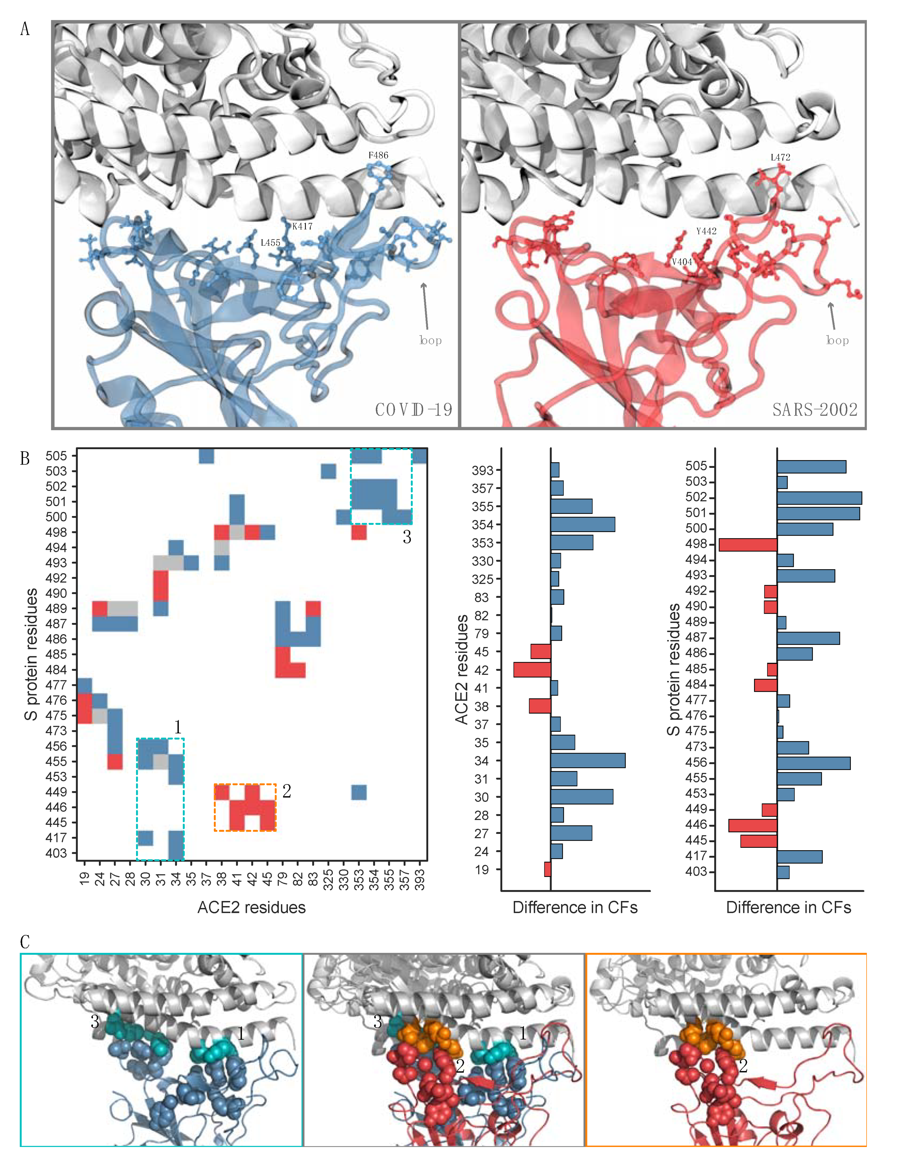Viruses 12 00497 g002