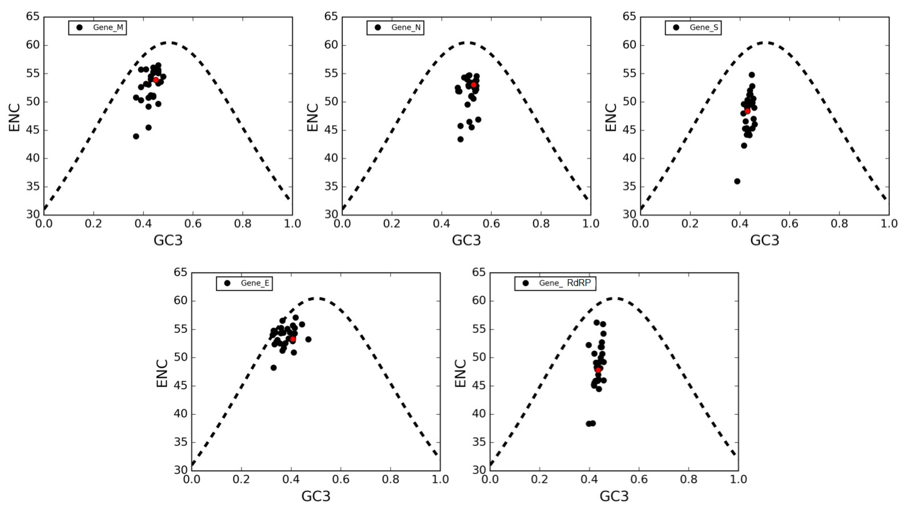 Viruses 12 00498 g005