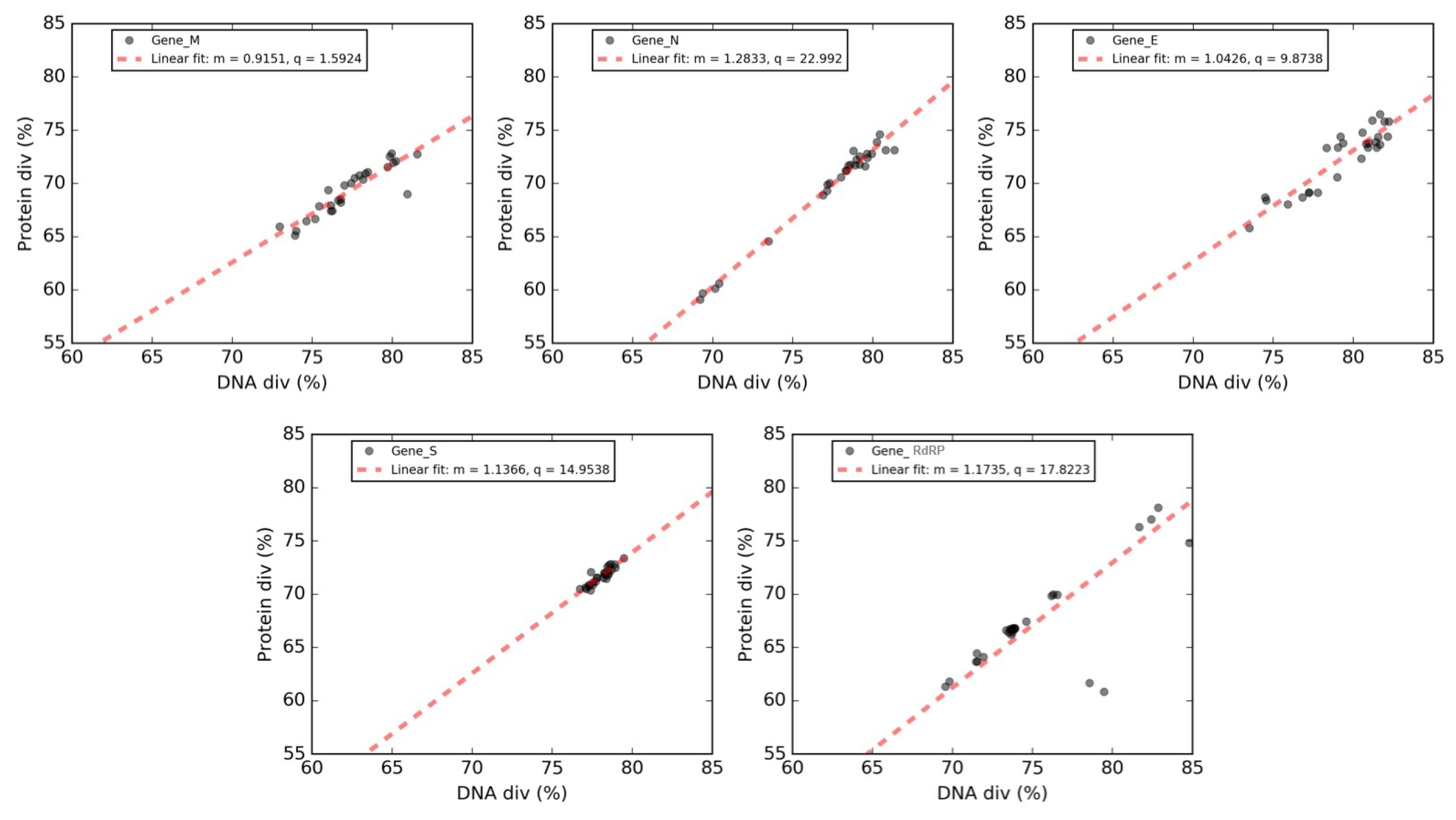 Viruses 12 00498 g008