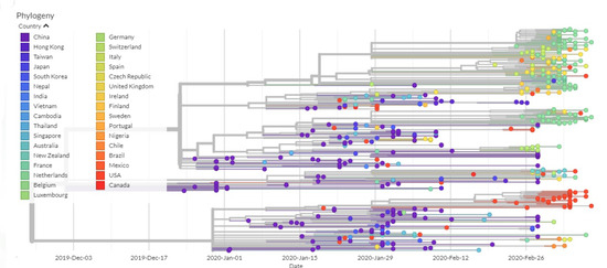 Viruses 12 00498 g0a1